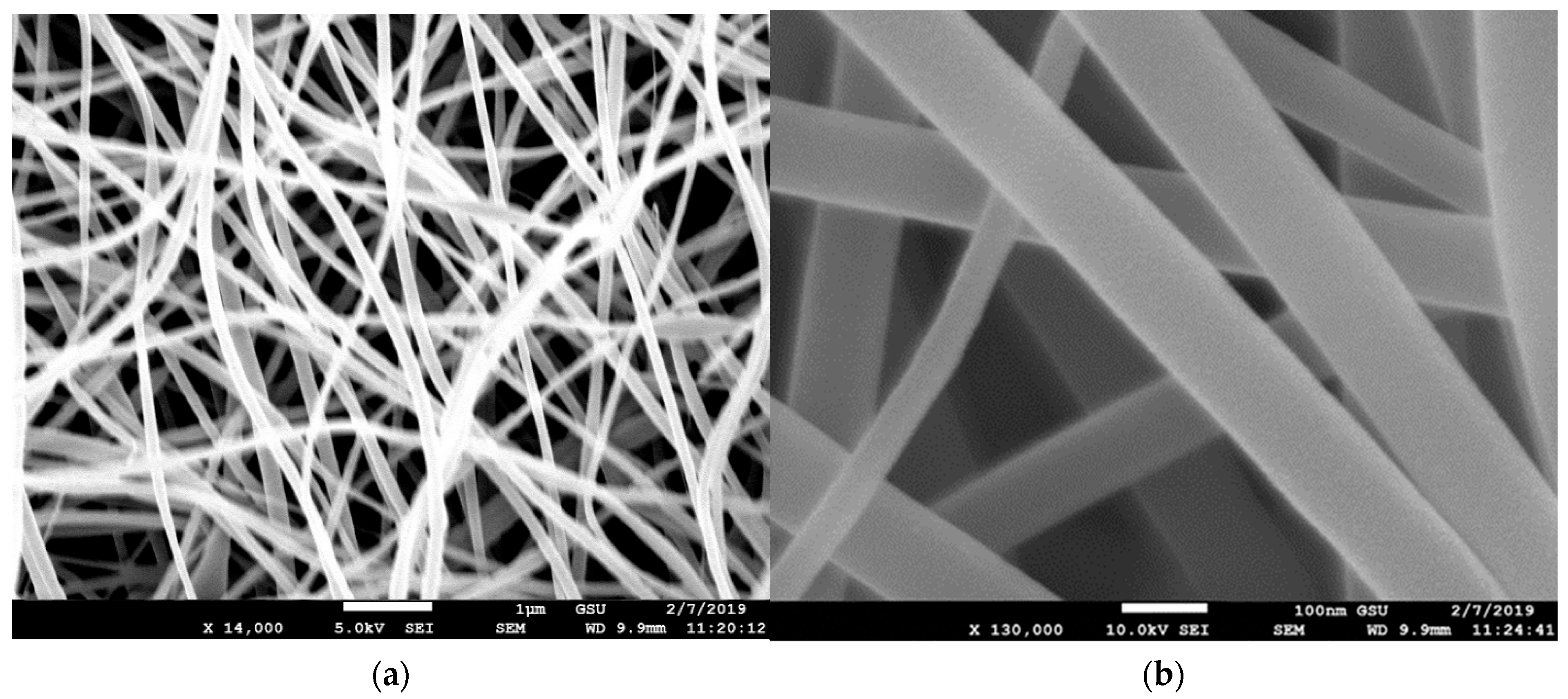 Membranes 13 00231 g007