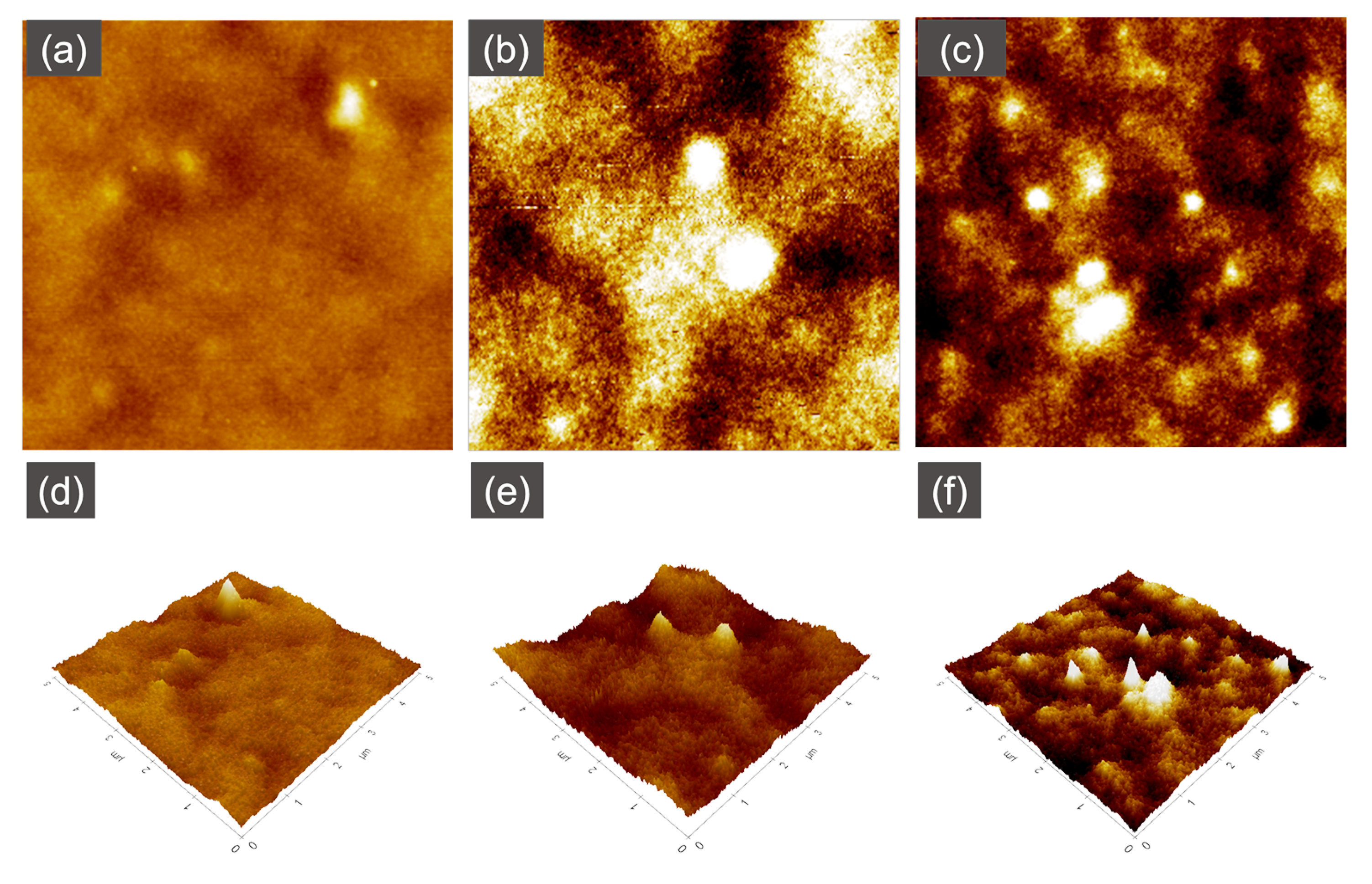 Membranes 13 00232 g009