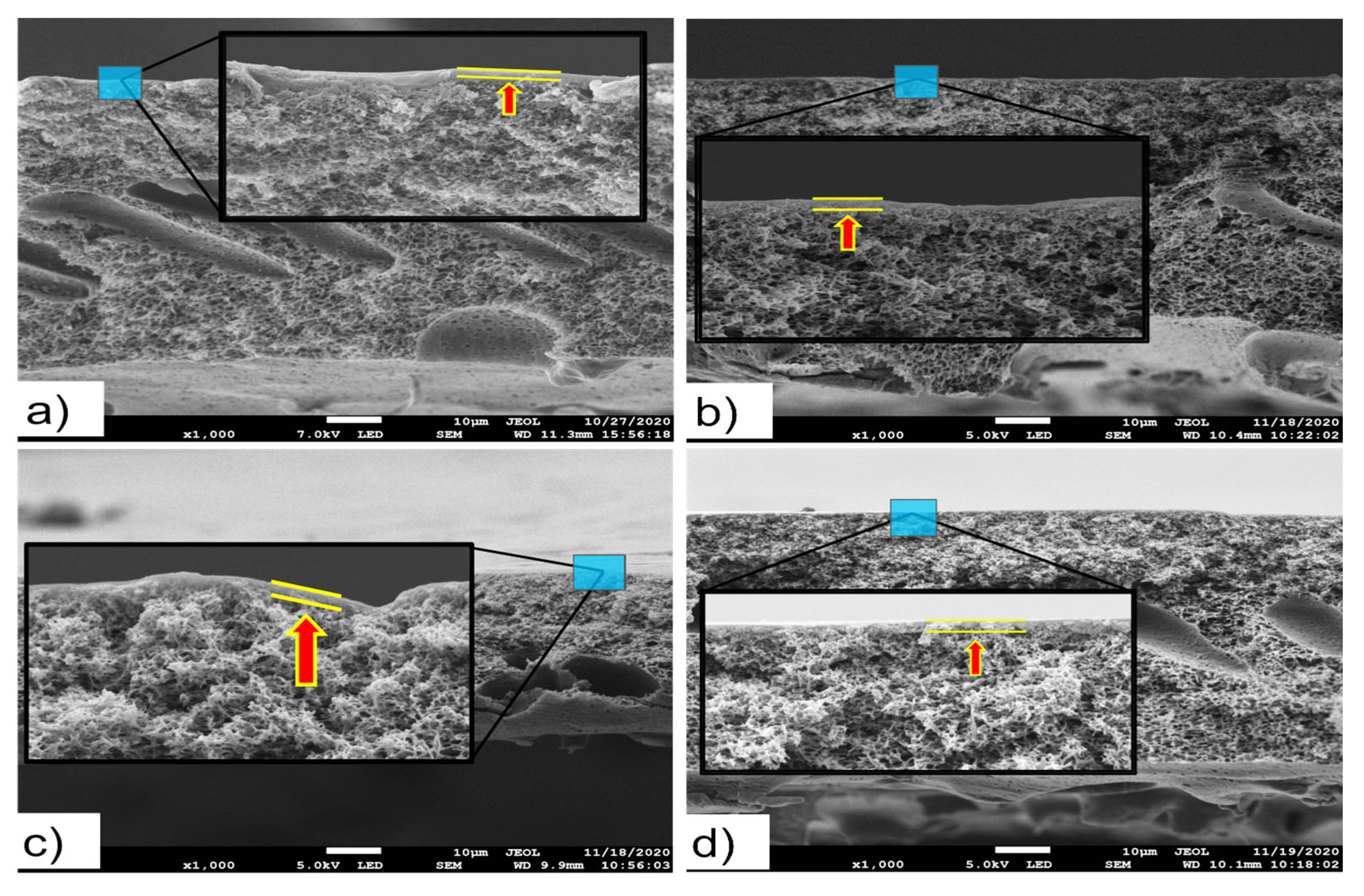 Membranes 13 00232 g010