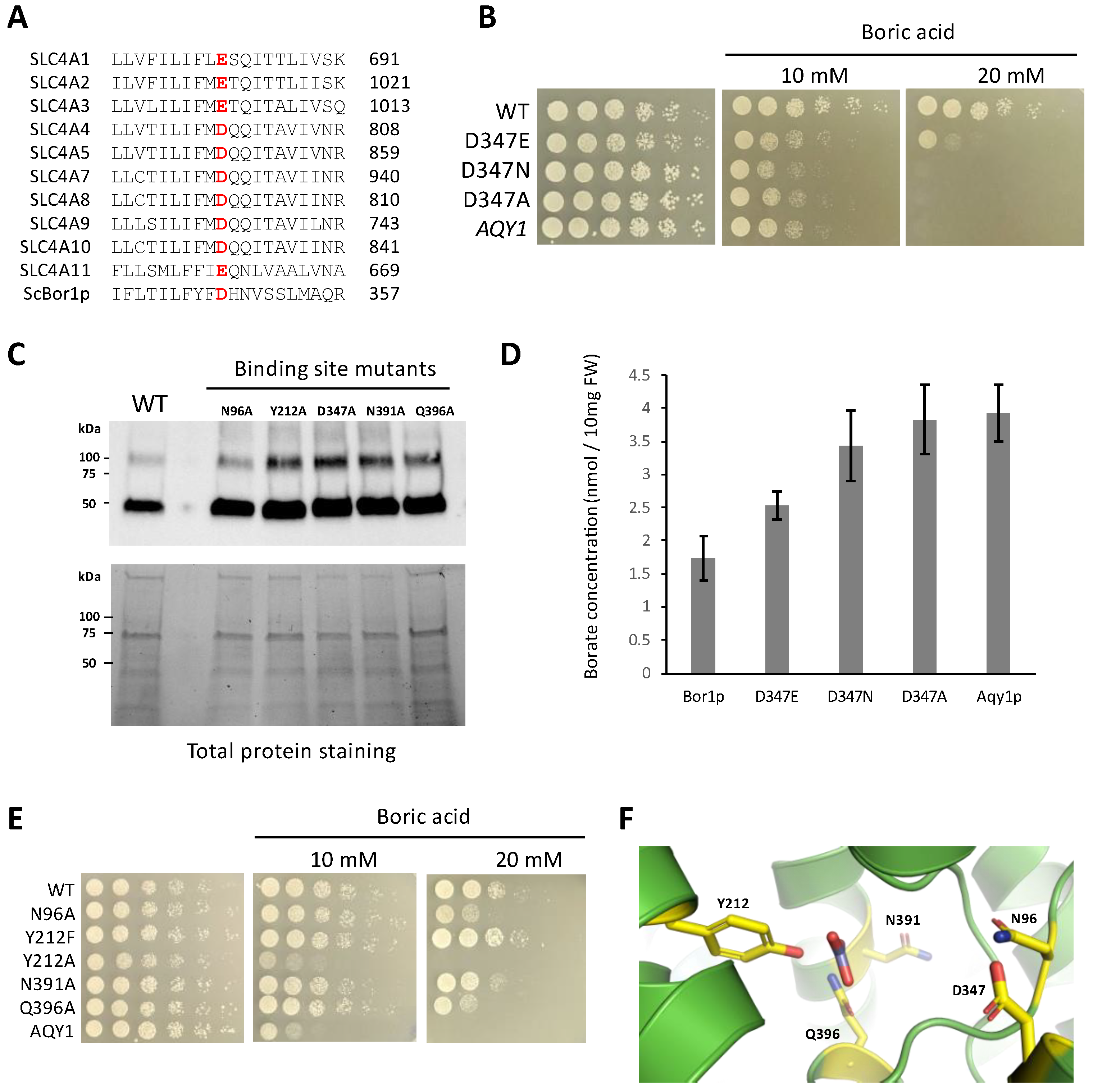 Membranes 13 00235 g004