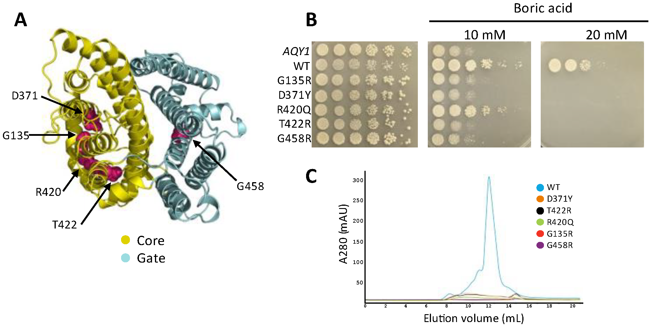 Membranes 13 00235 g005
