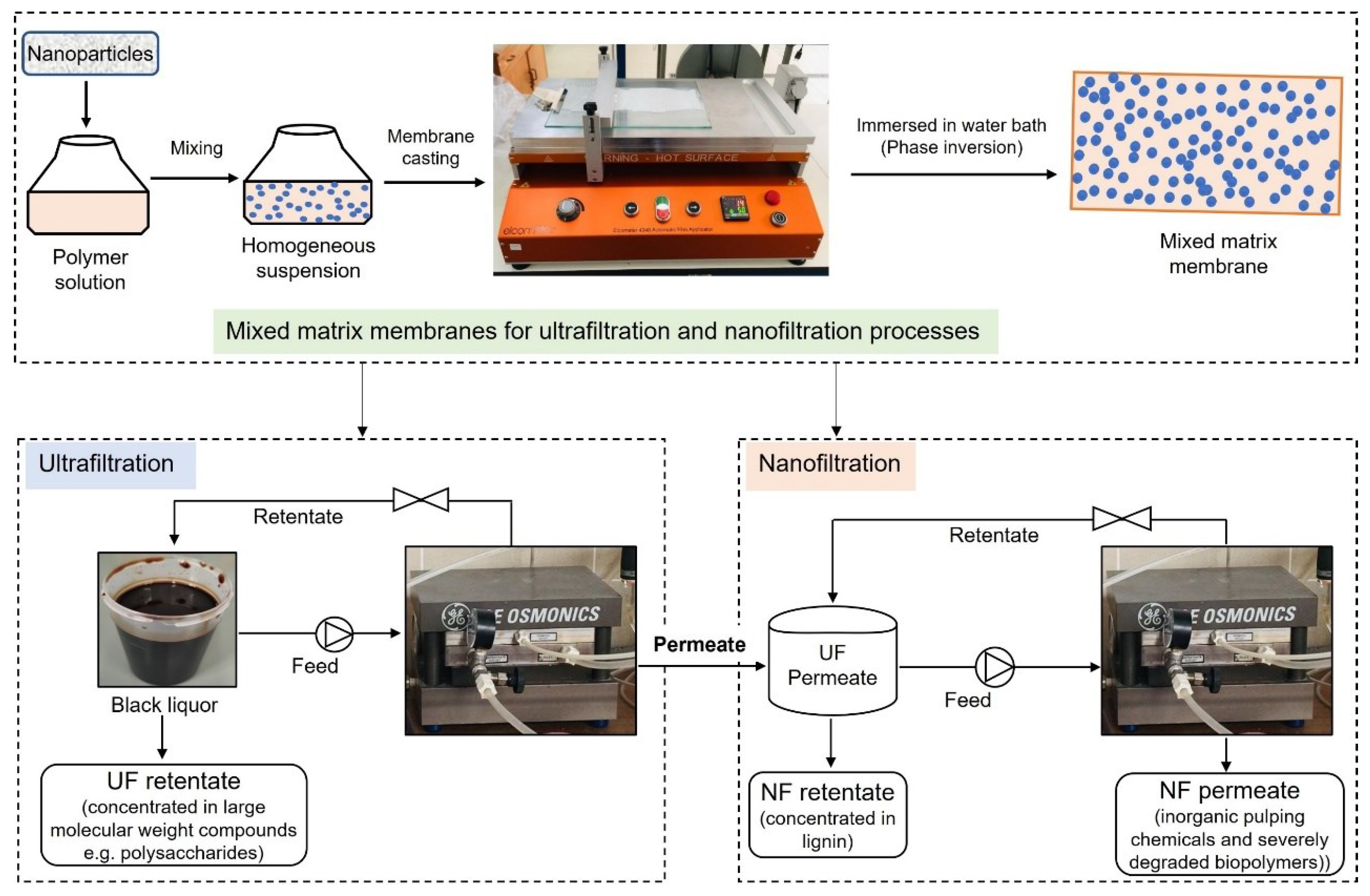 Membranes 13 00237 g002