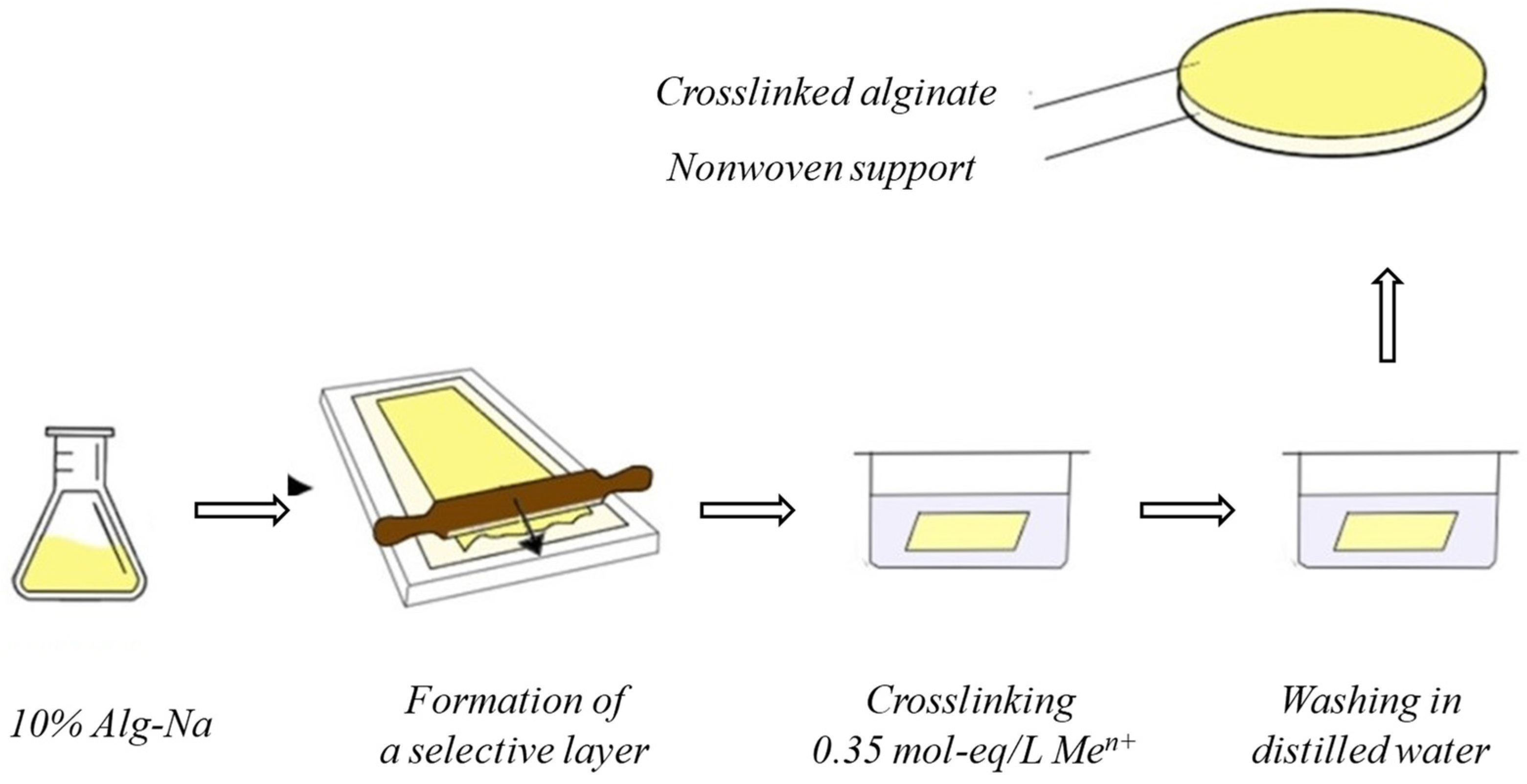 Membranes 13 00244 g001 Membranes 13 00244 g001