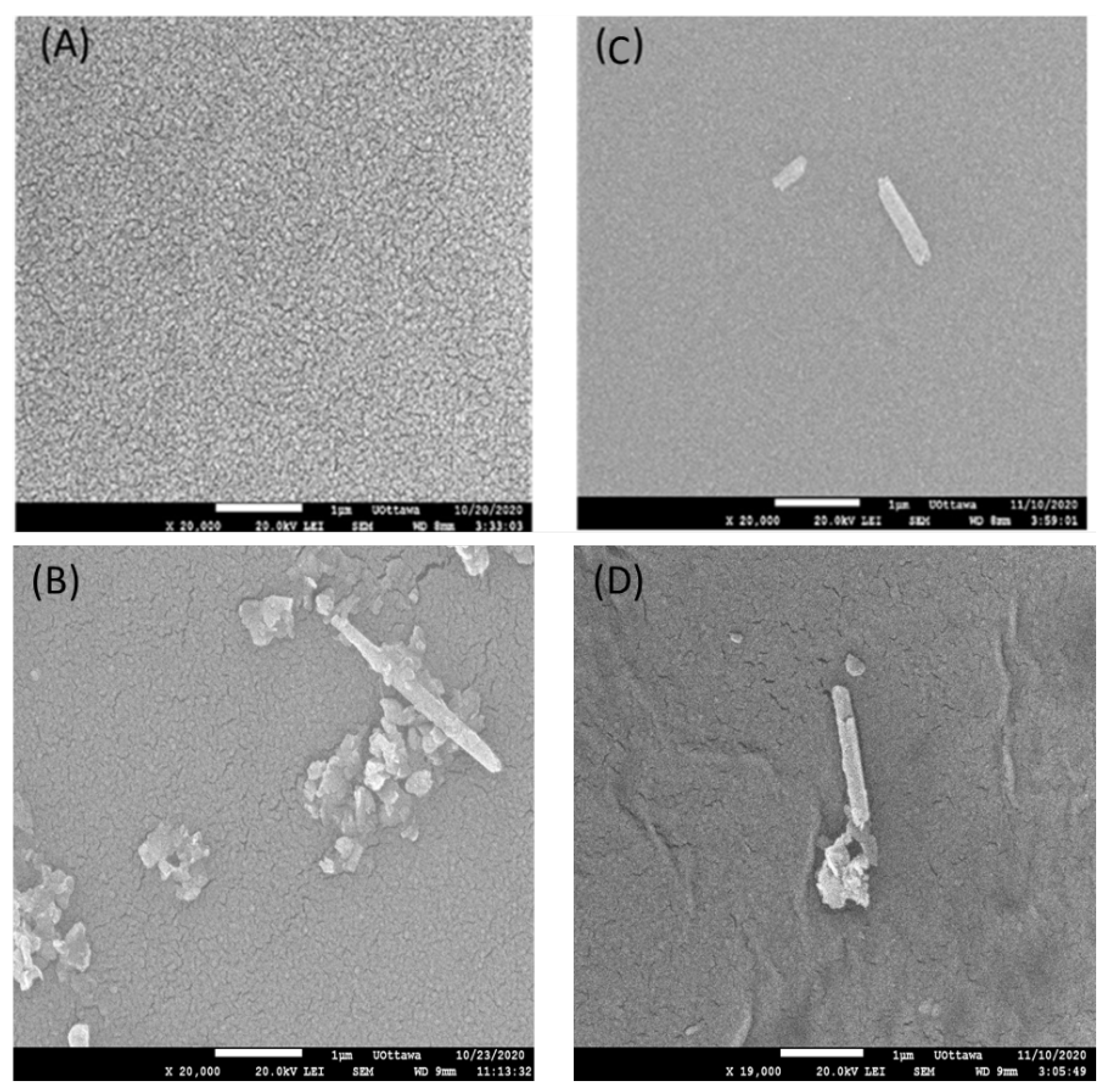 Membranes 13 00245 g006