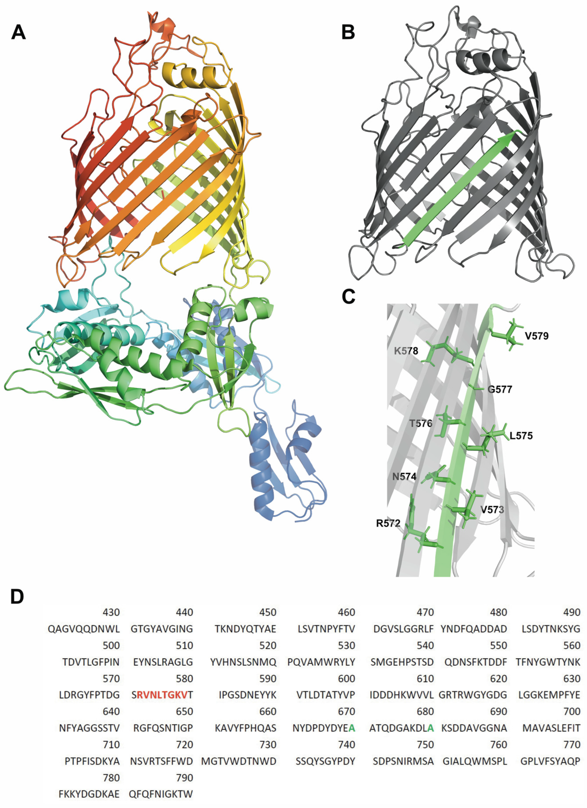 Membranes 13 00247 g001