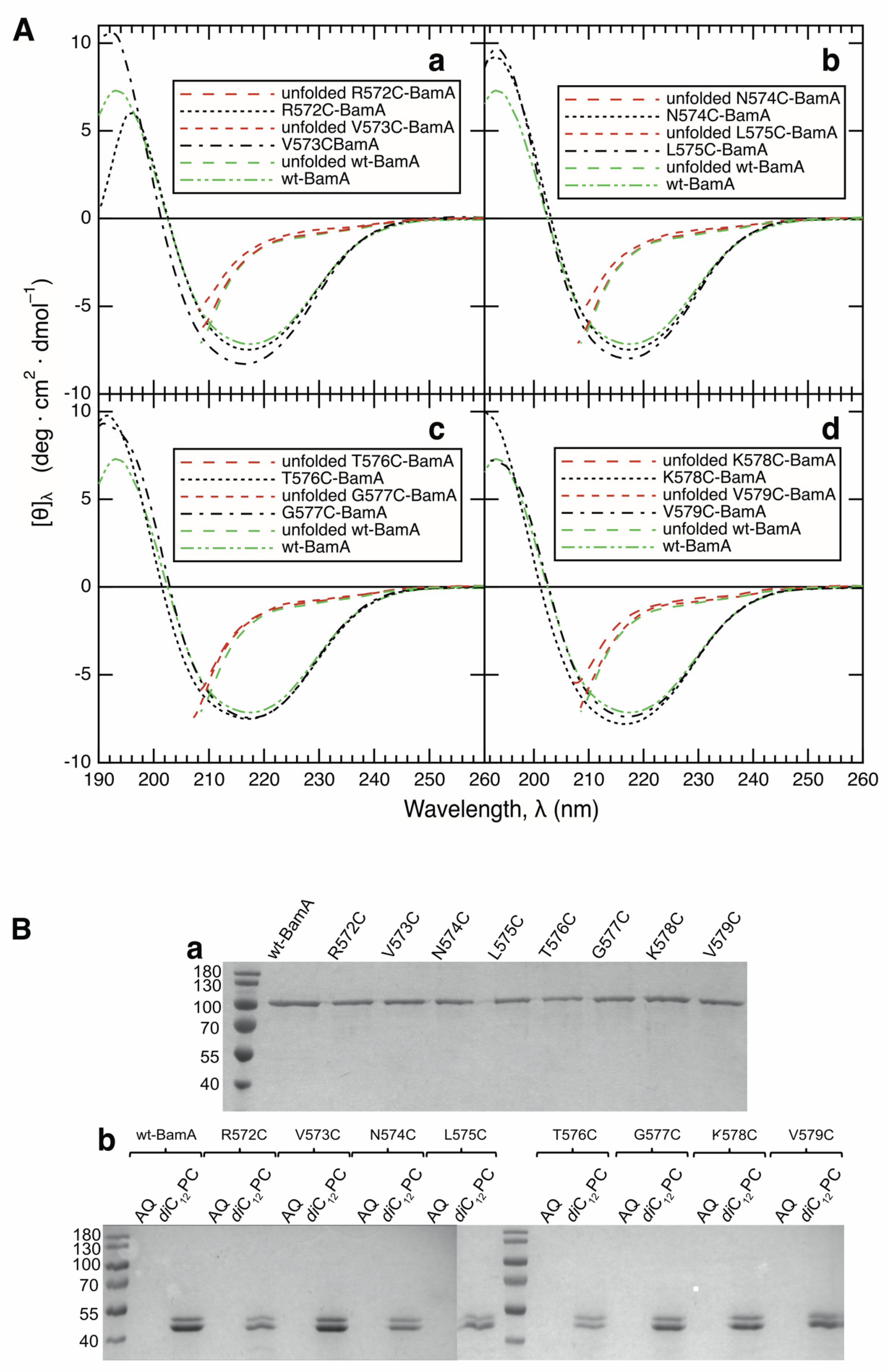 Membranes 13 00247 g002