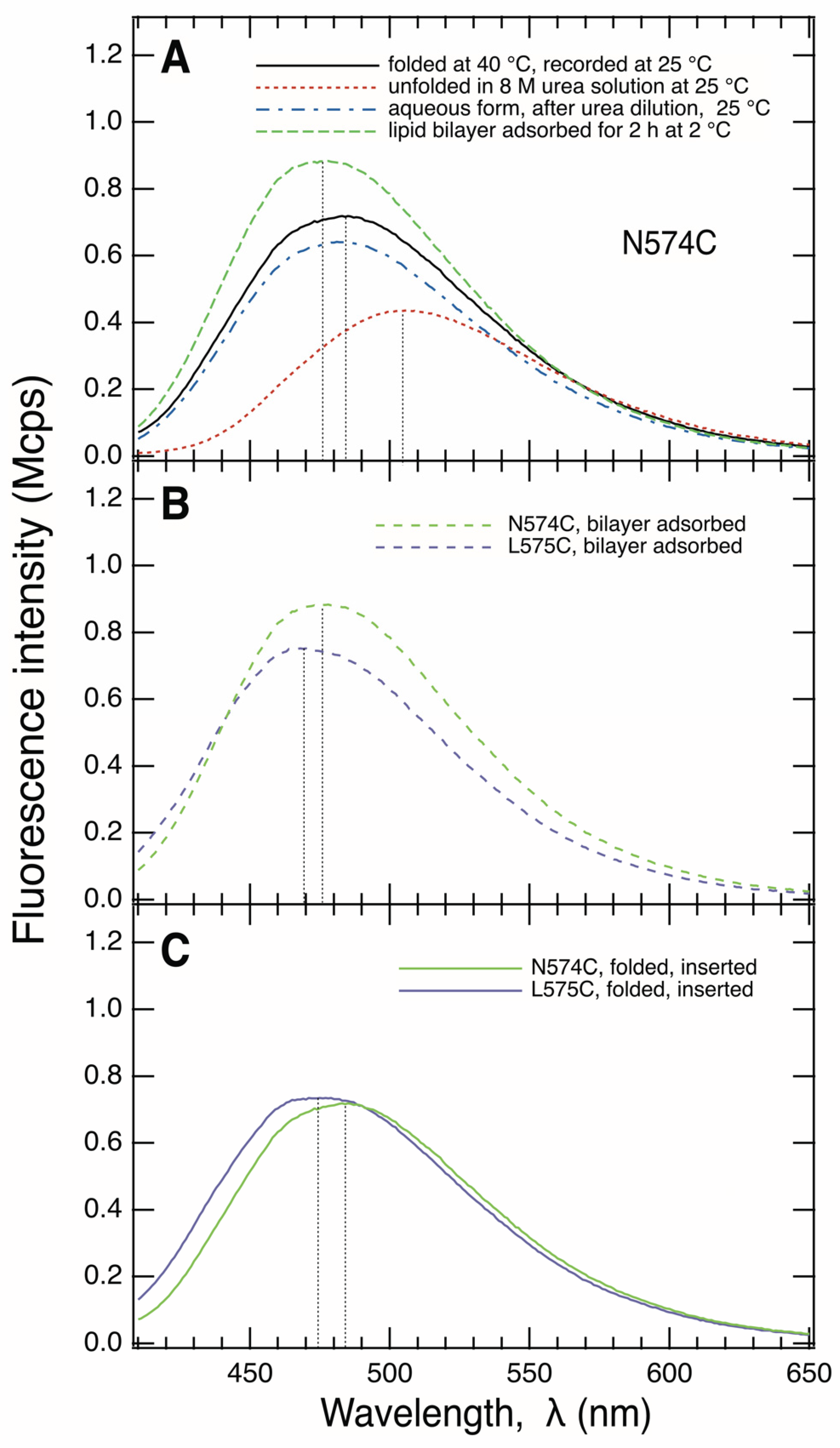 Membranes 13 00247 g003