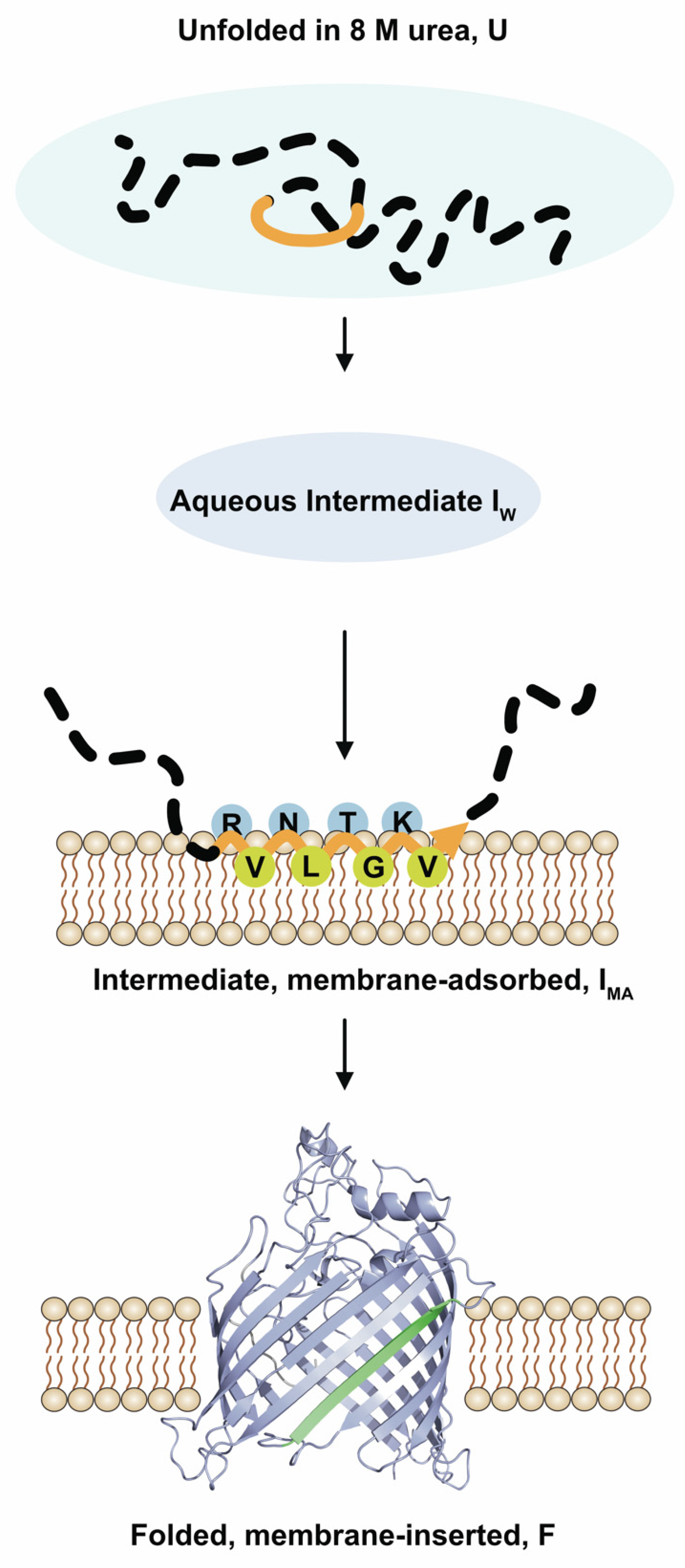 Membranes 13 00247 g006