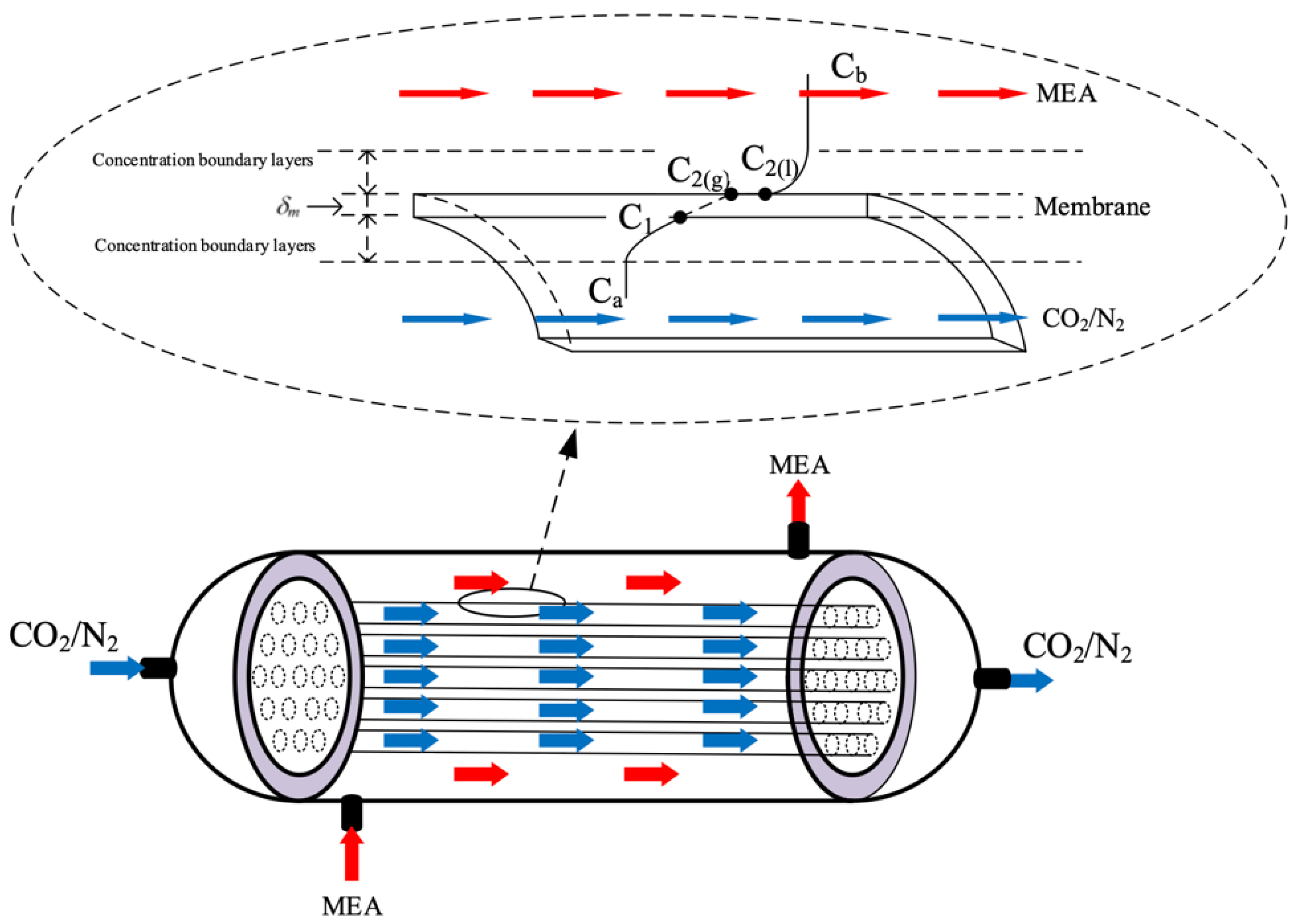 Membranes 13 00249 g003