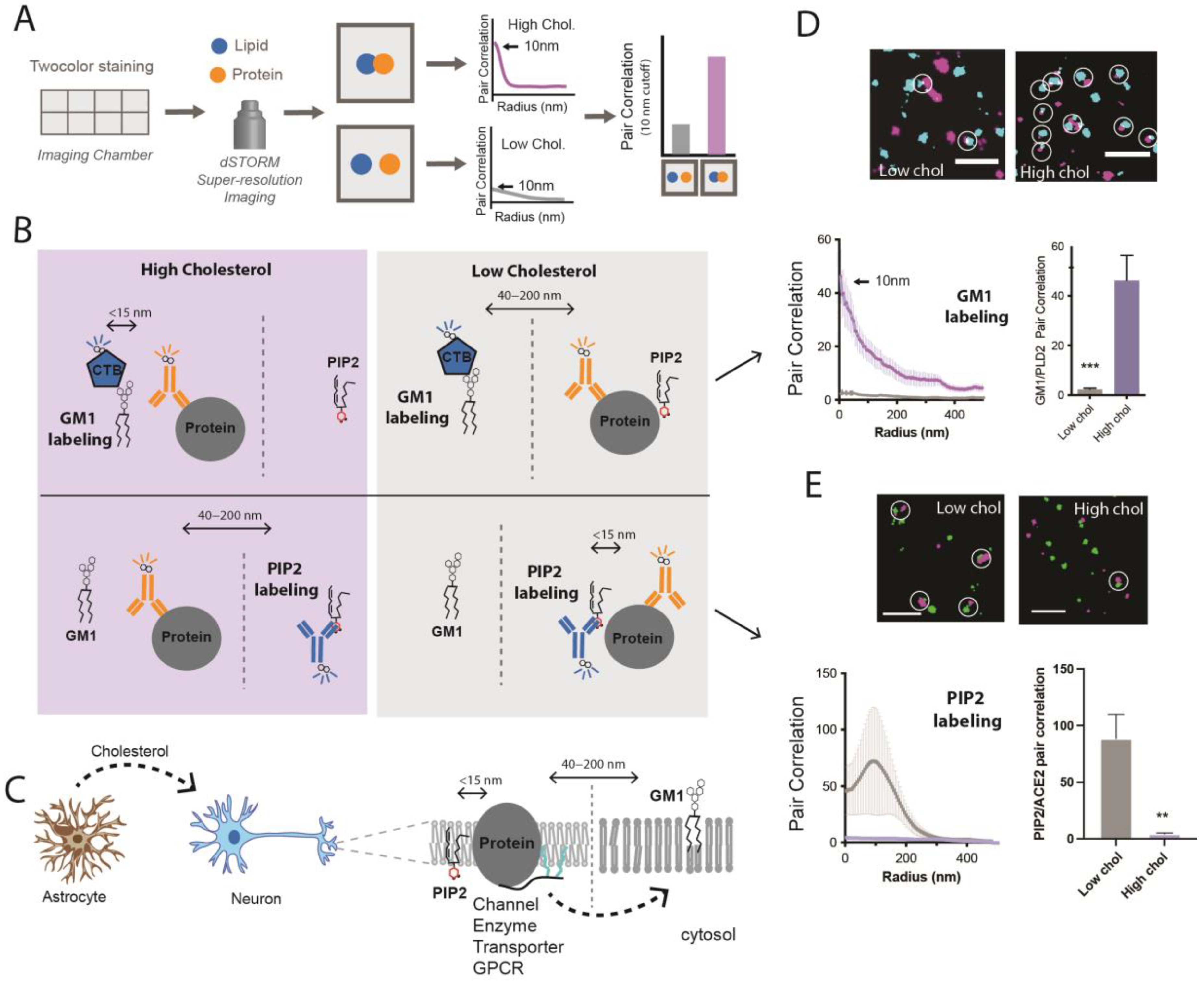 Membranes 13 00250 g002