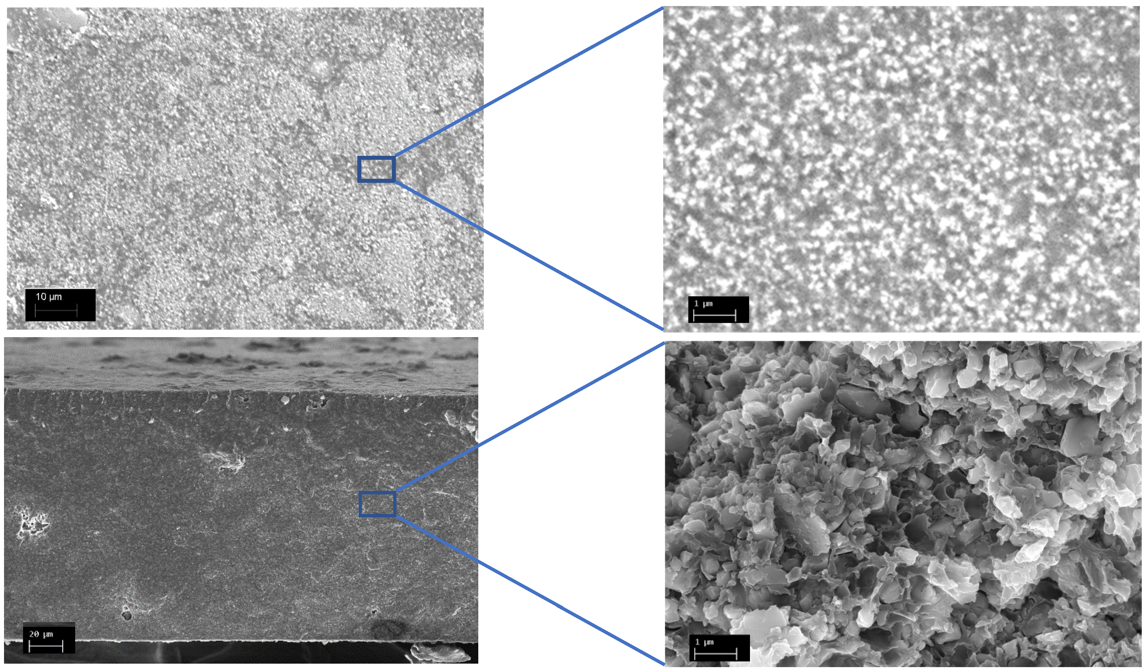Membranes 13 00252 g001a