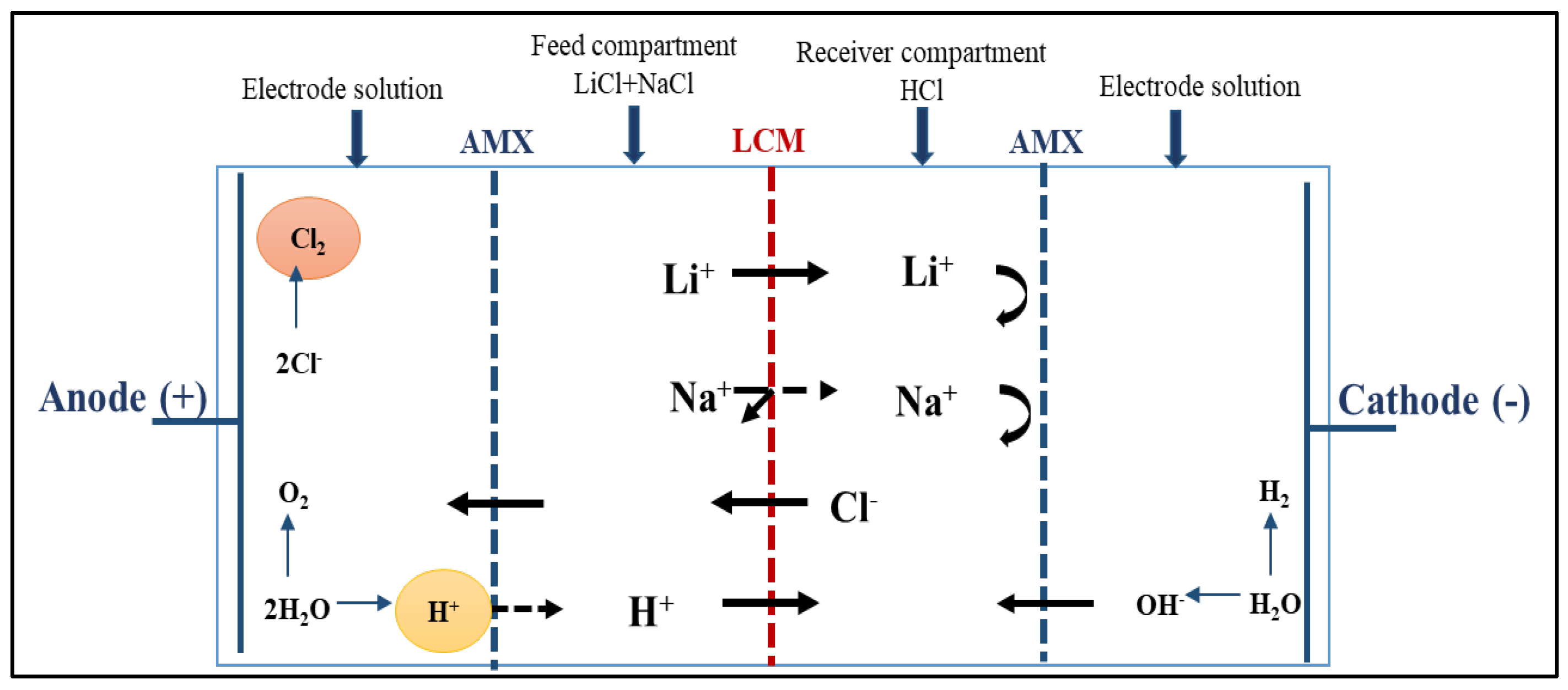 Membranes 13 00252 g003