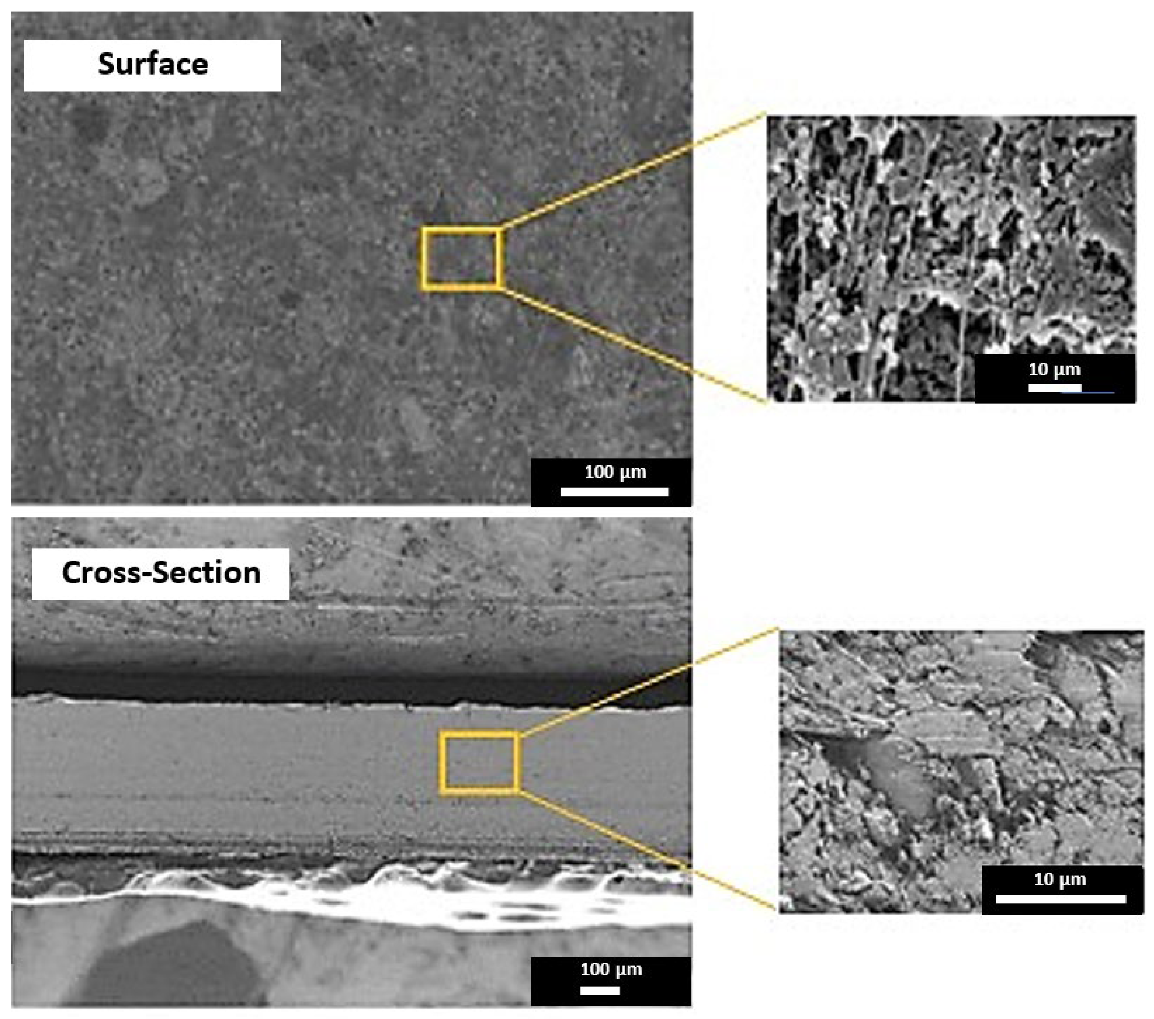 Membranes 13 00252 g004