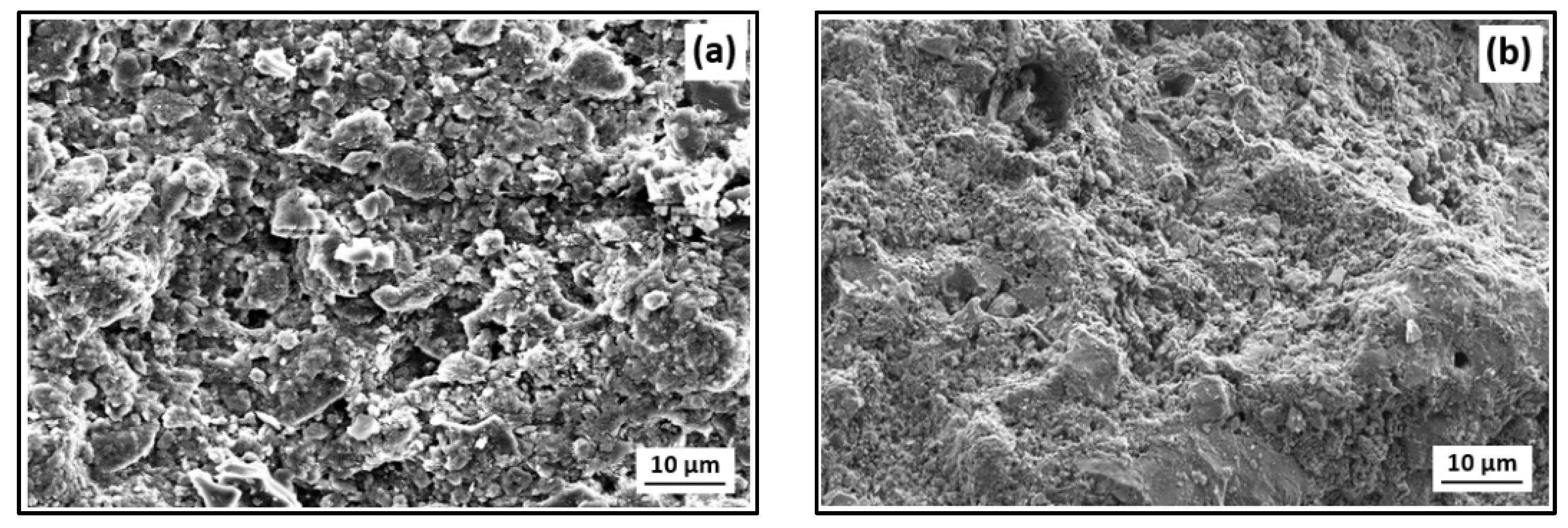Membranes 13 00252 g007
