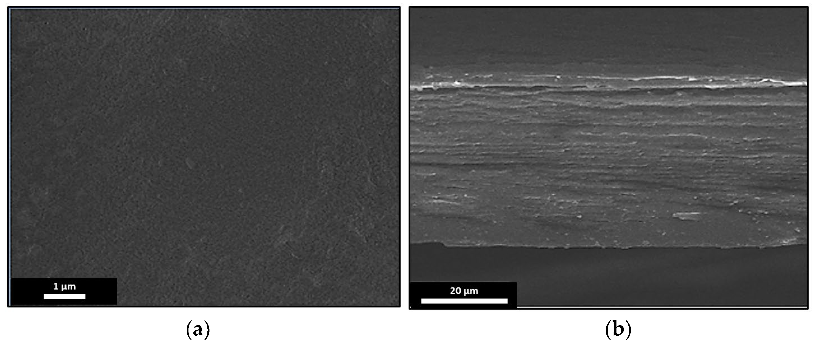 Membranes 13 00252 g010