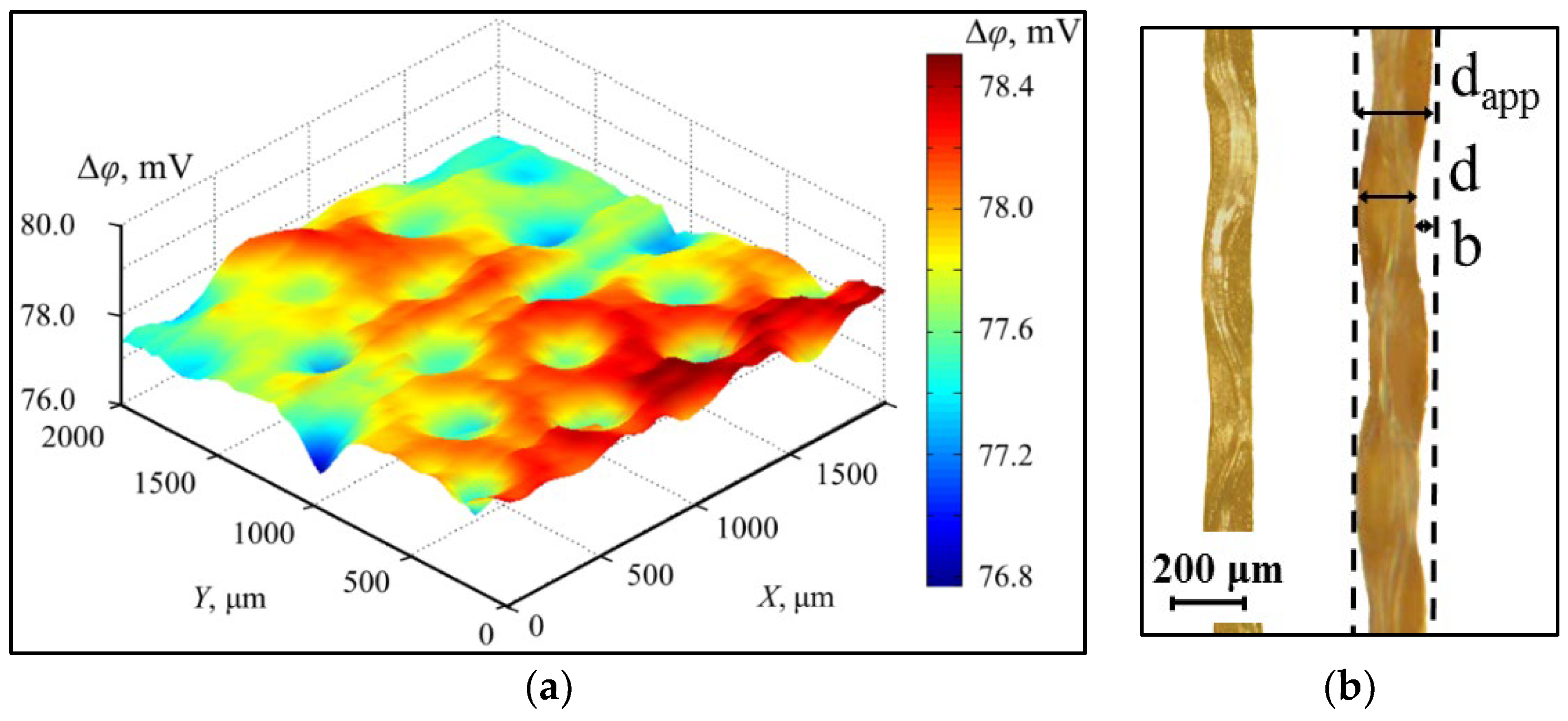 Membranes 13 00252 g016
