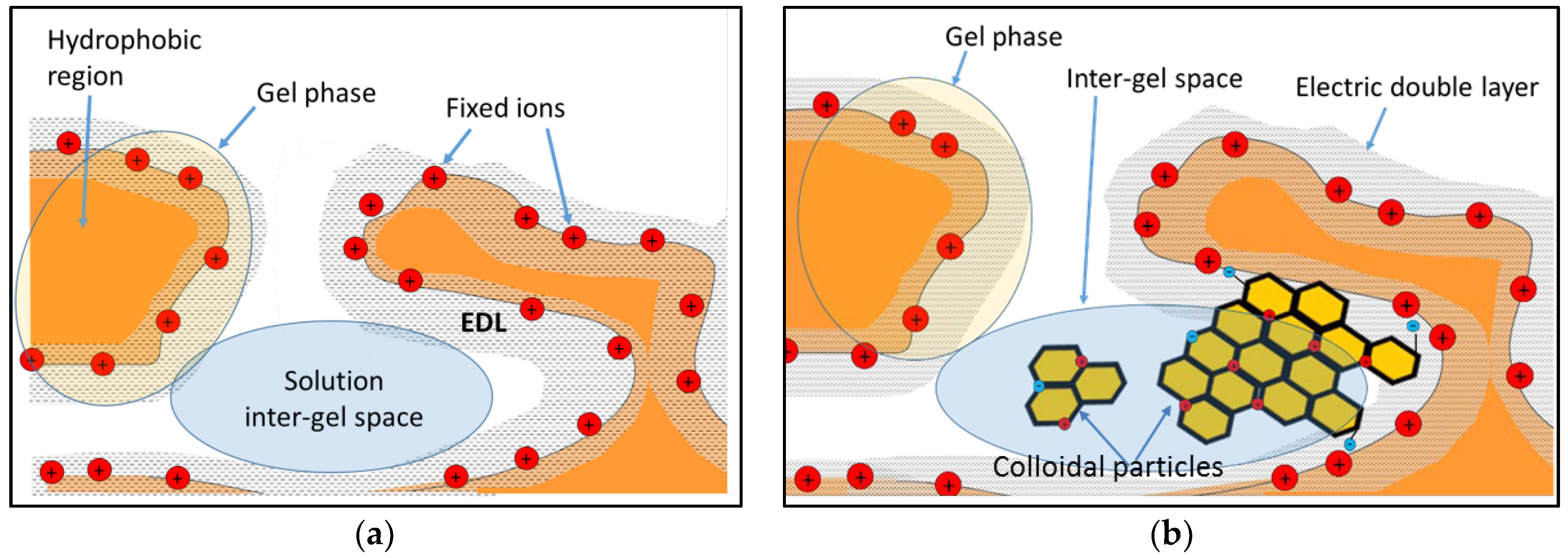 Membranes 13 00252 g022