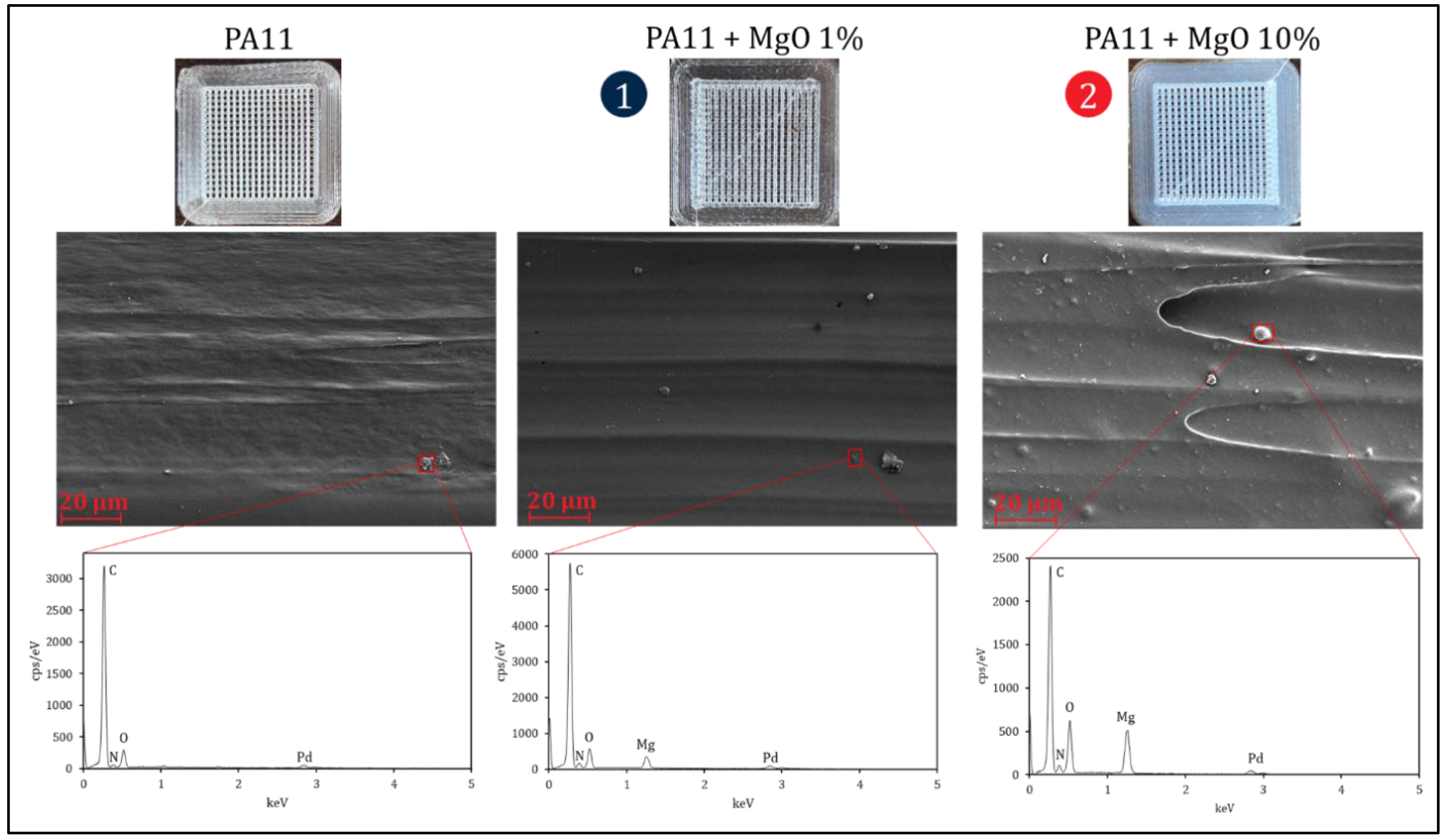 Membranes 13 00252 g026