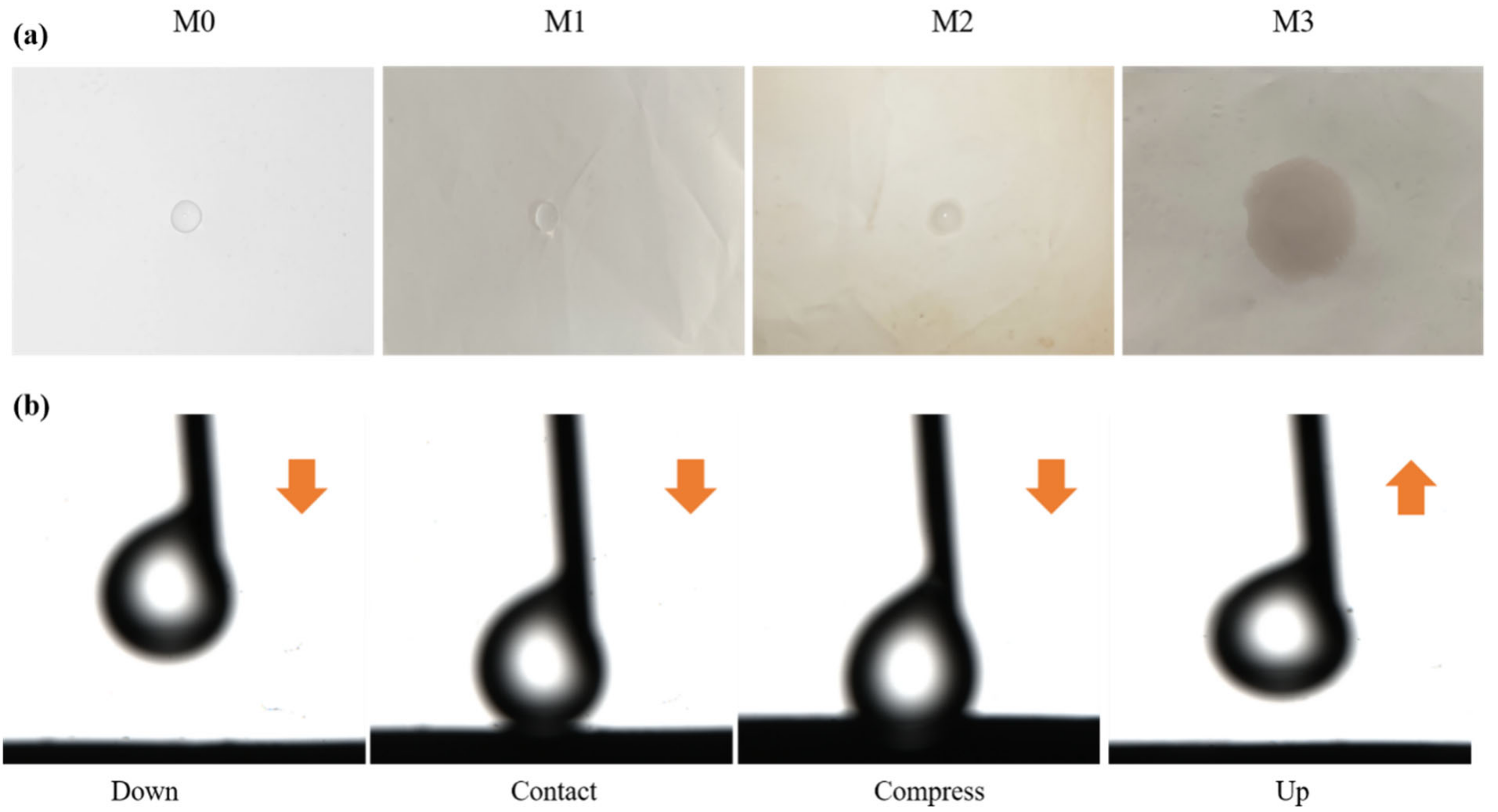 Membranes 13 00255 g005