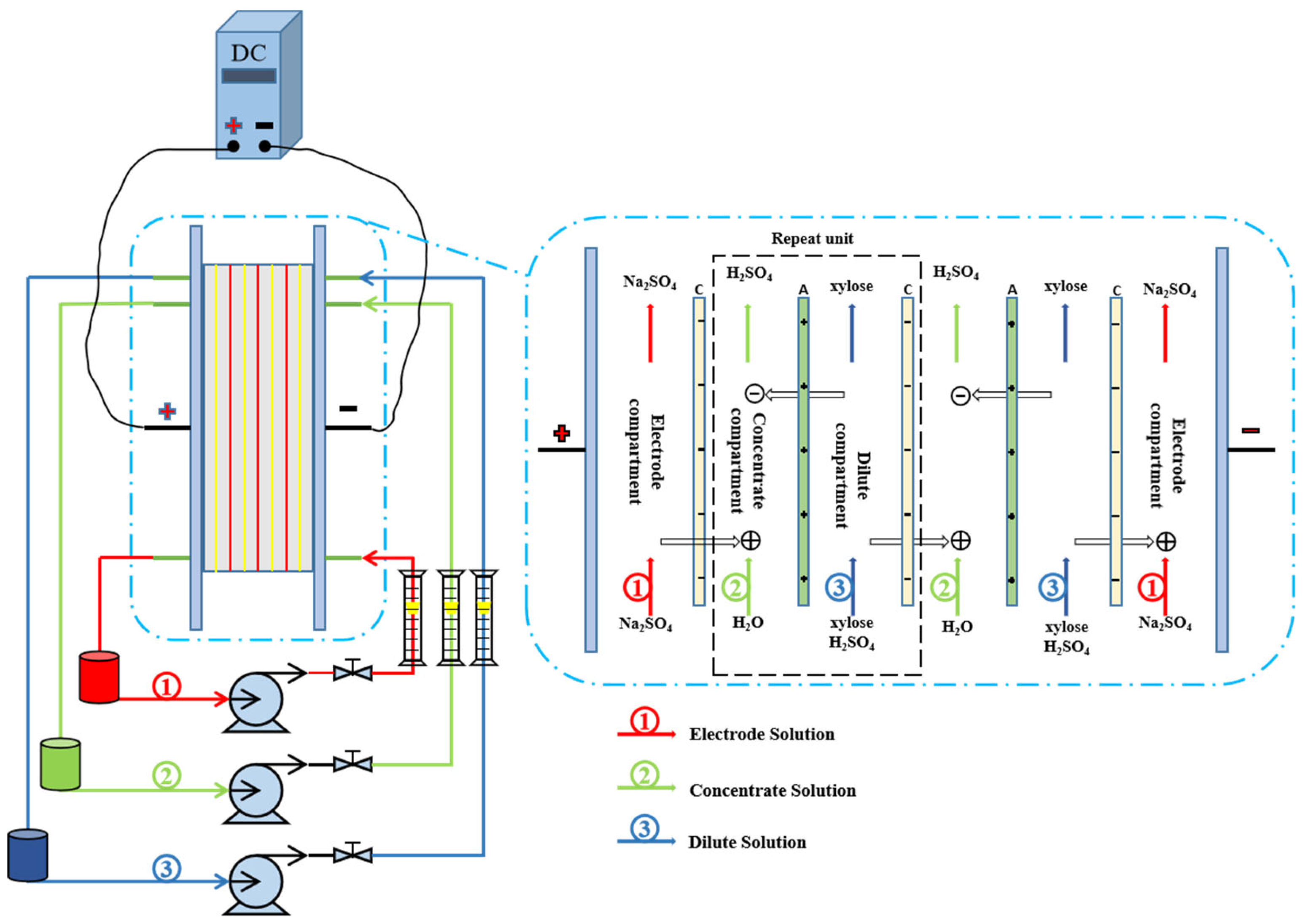 Membranes 13 00256 g001