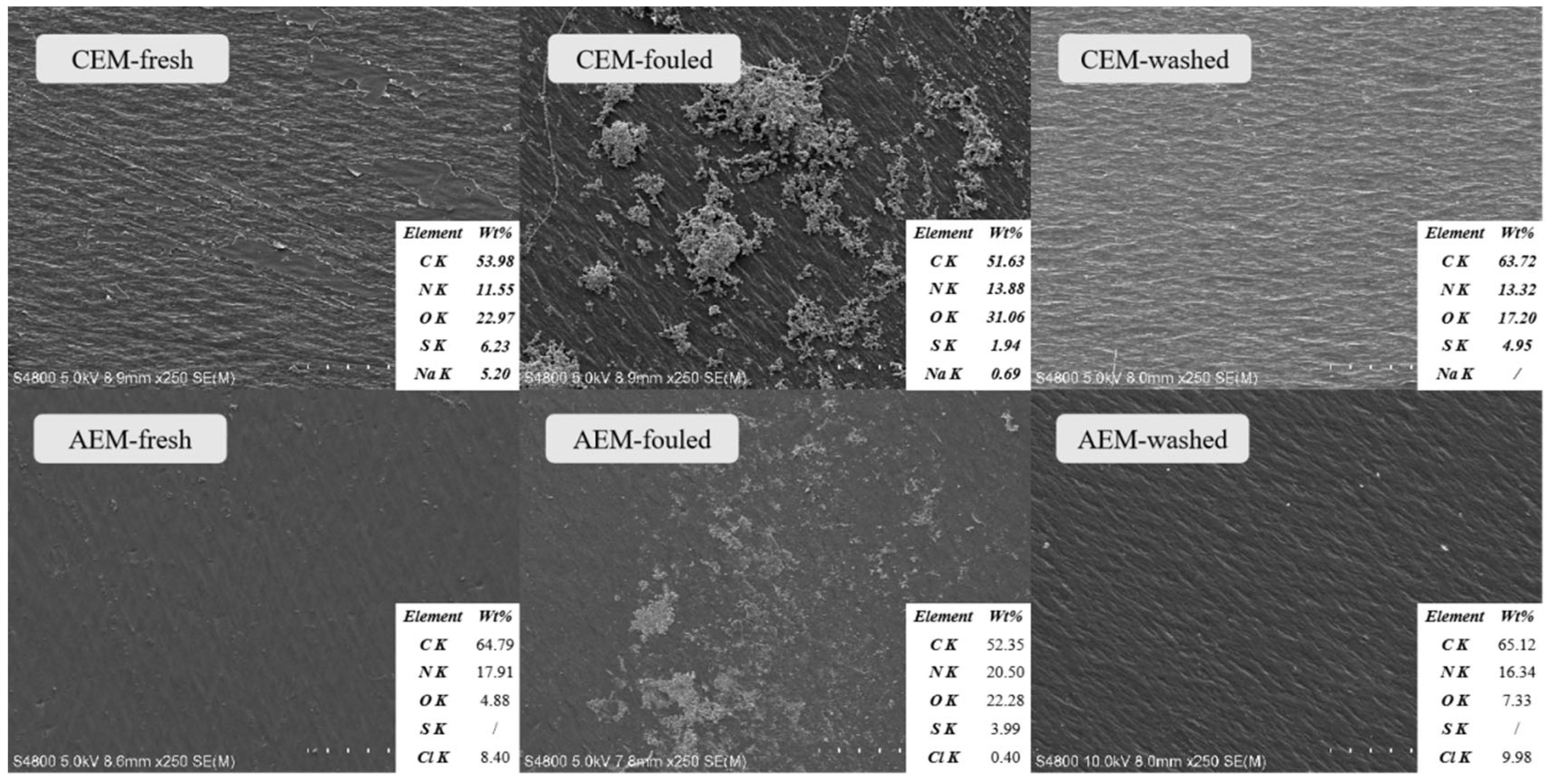 Membranes 13 00256 g005