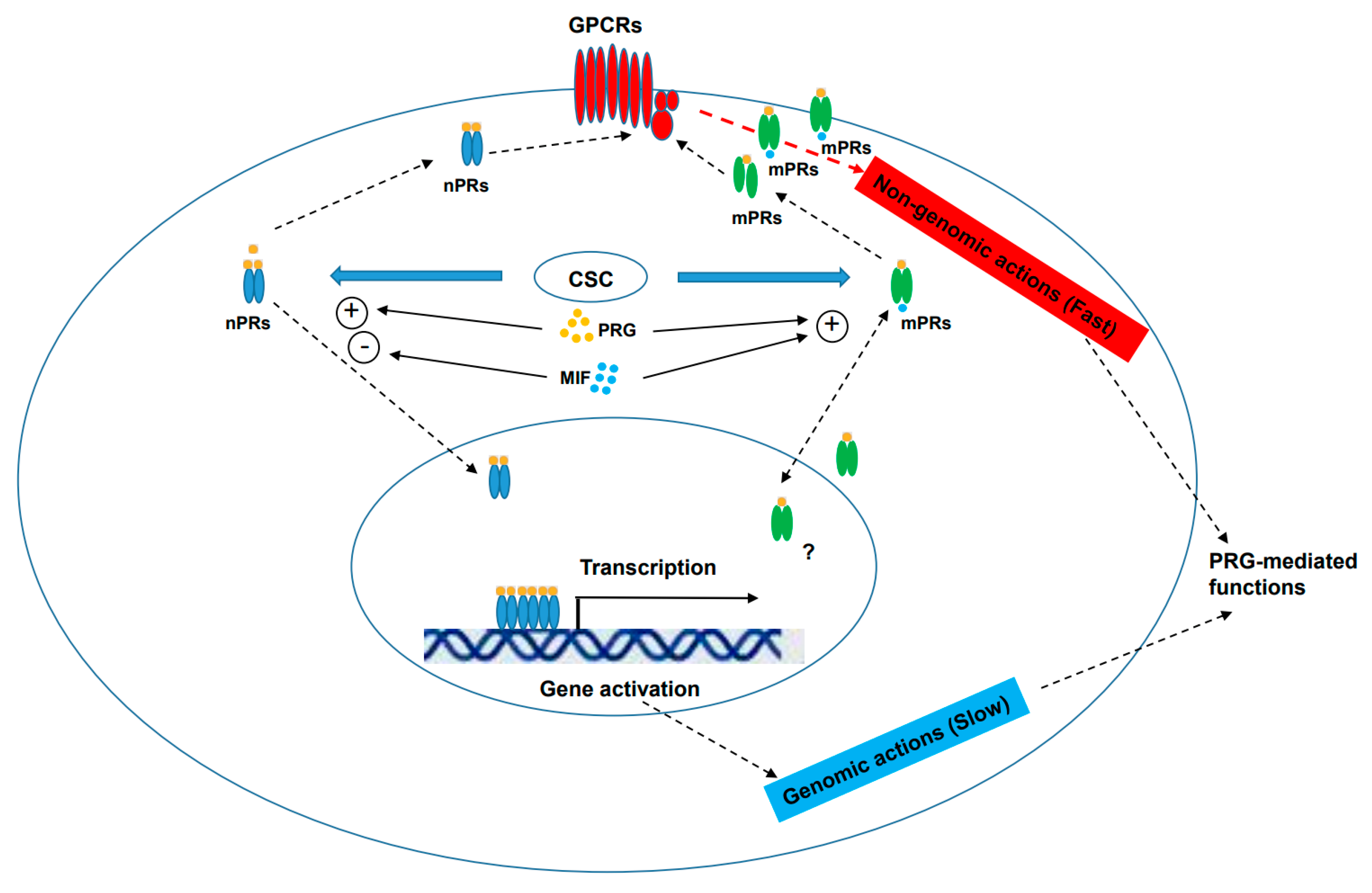 Membranes 13 00260 g001