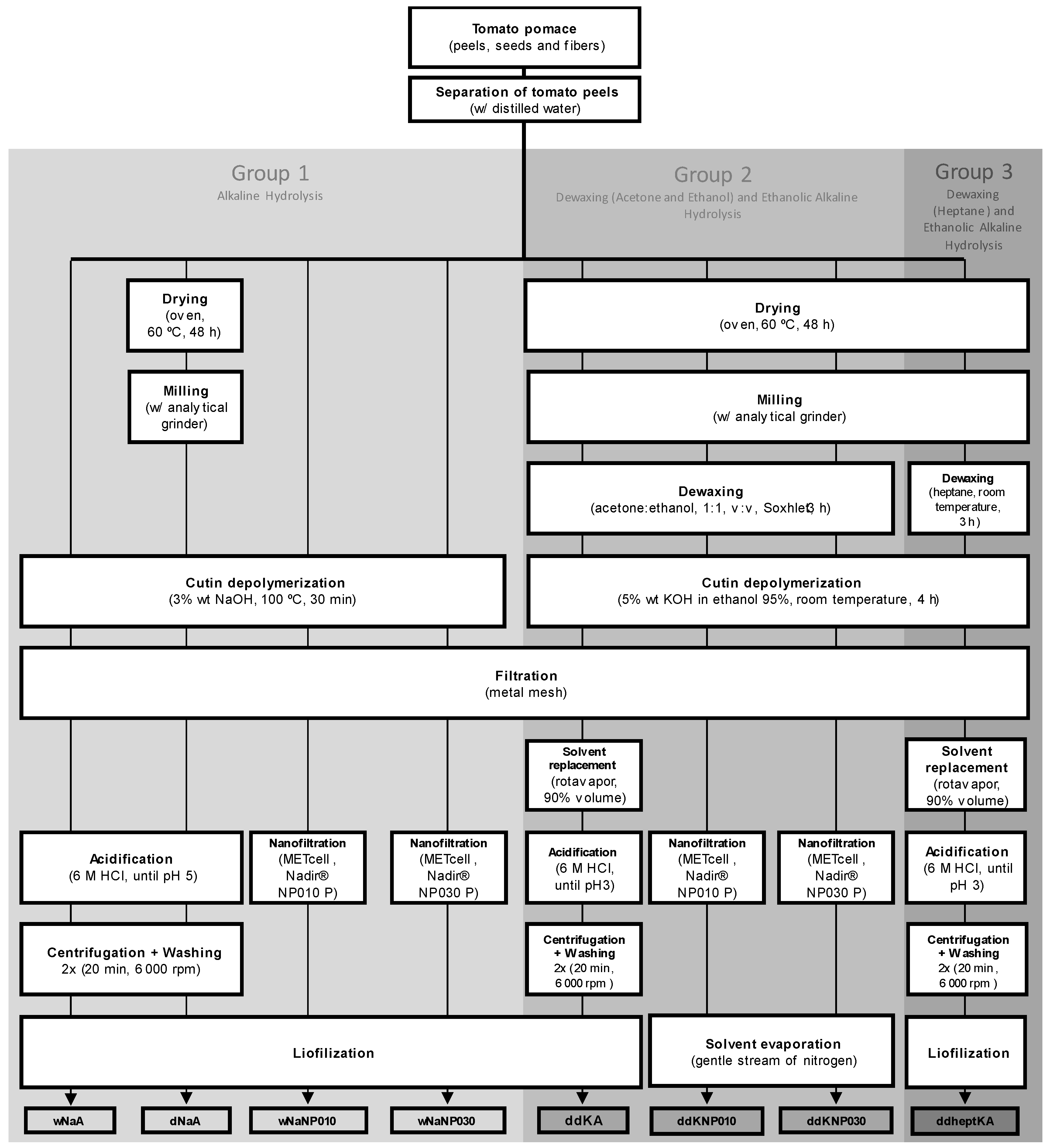Membranes 13 00261 g001