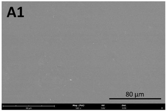 Membranes 13 00261 i004