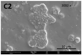 Membranes 13 00261 i009