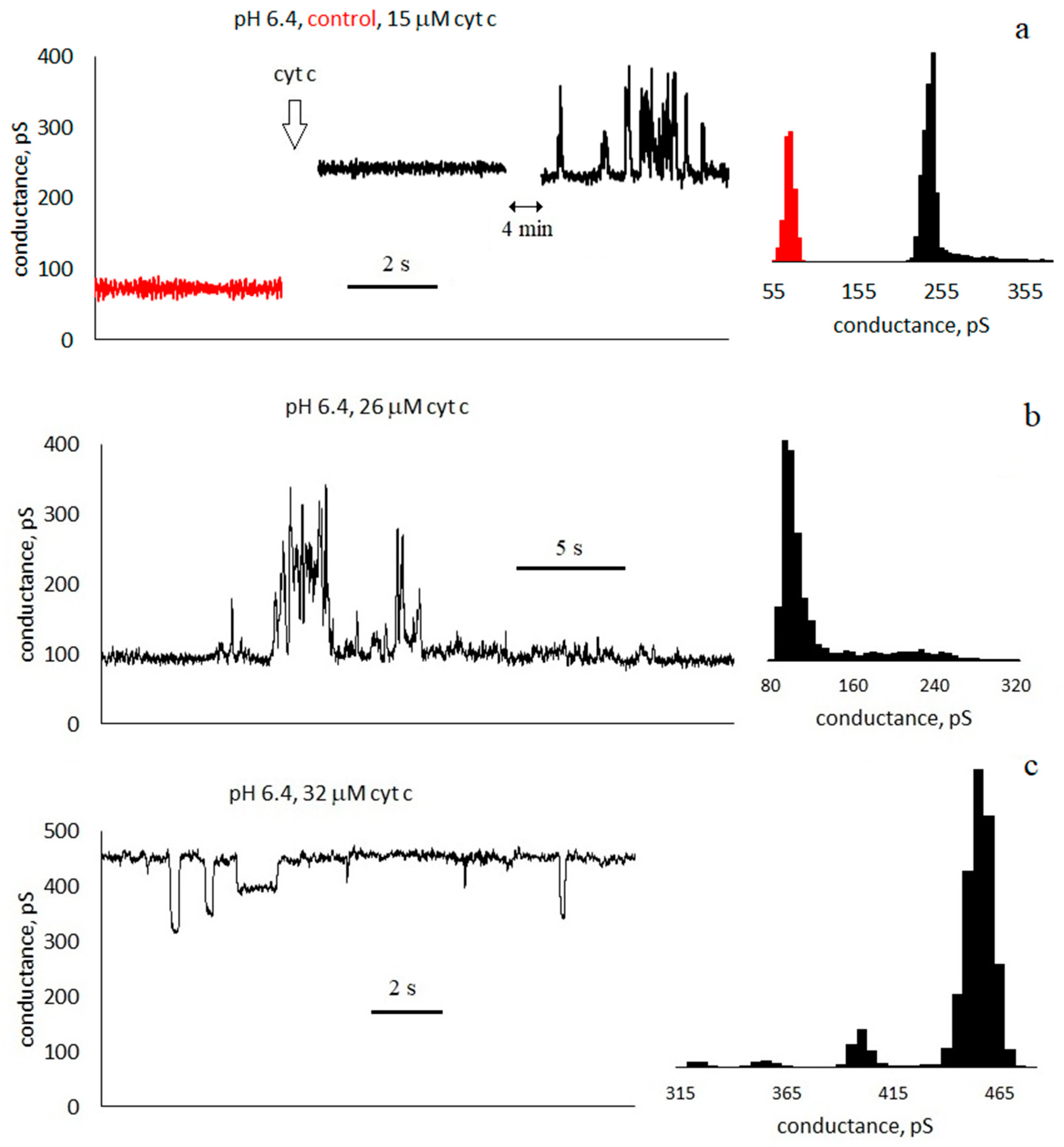 Membranes 13 00268 g002