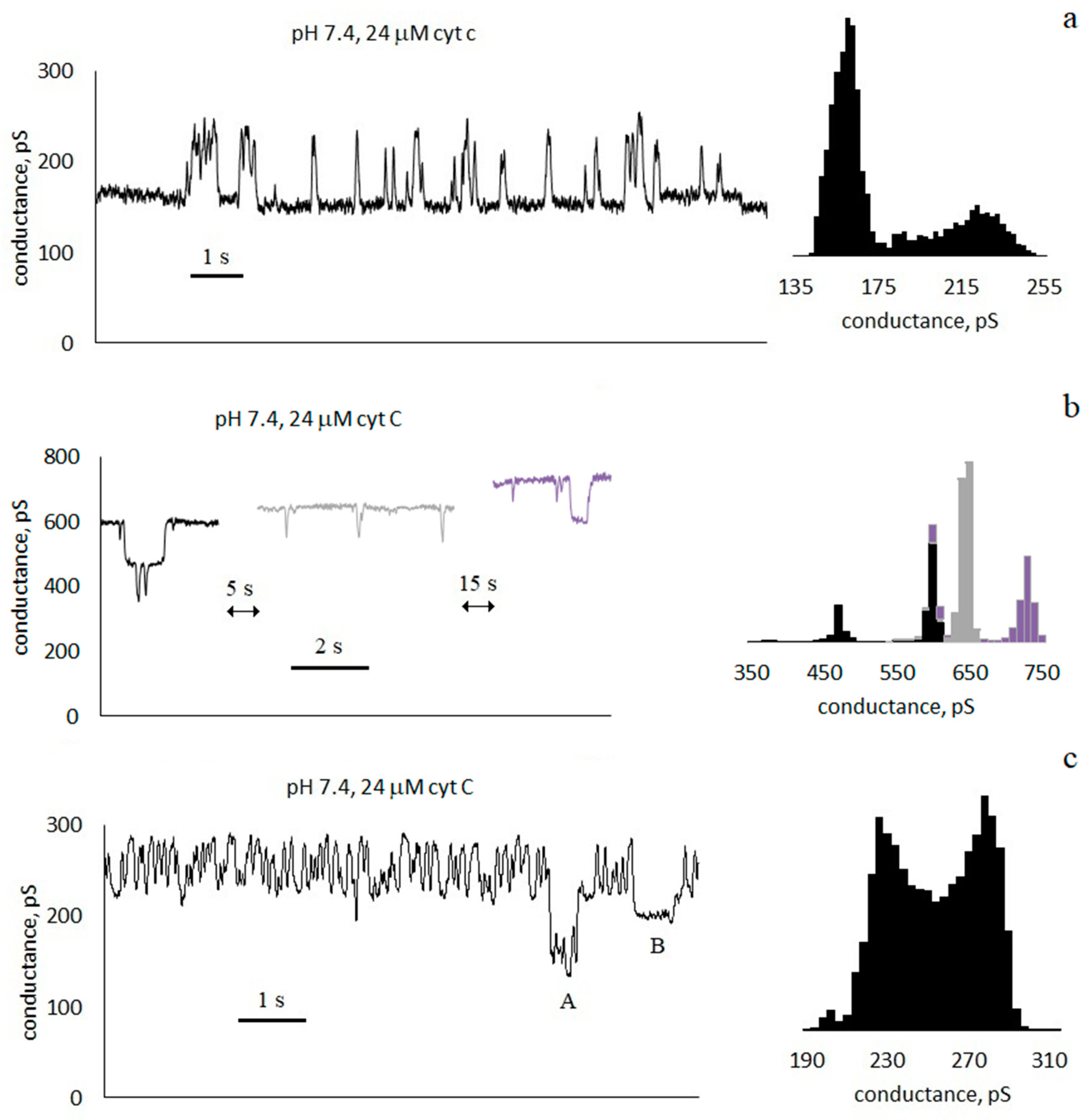 Membranes 13 00268 g003