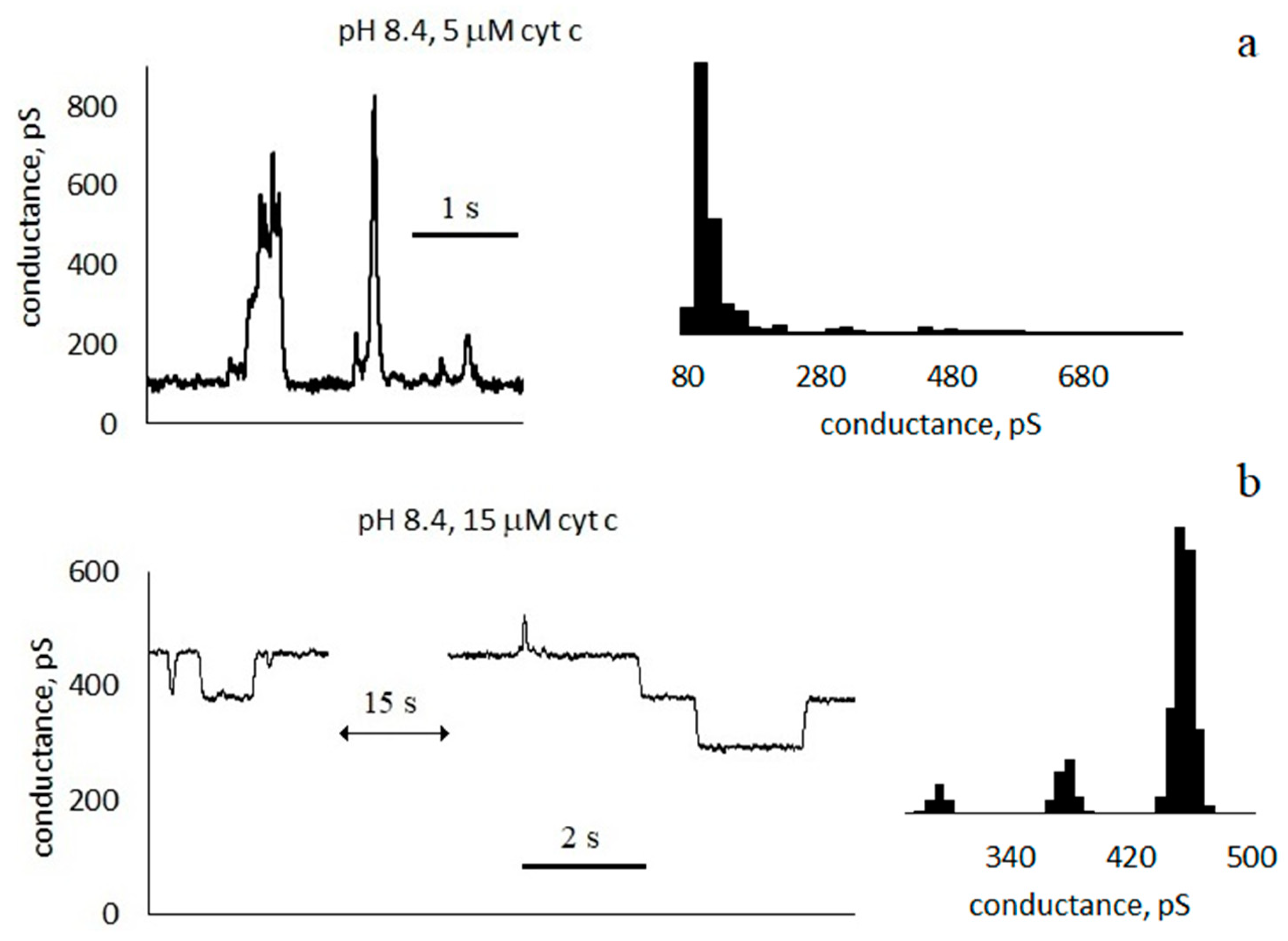 Membranes 13 00268 g004