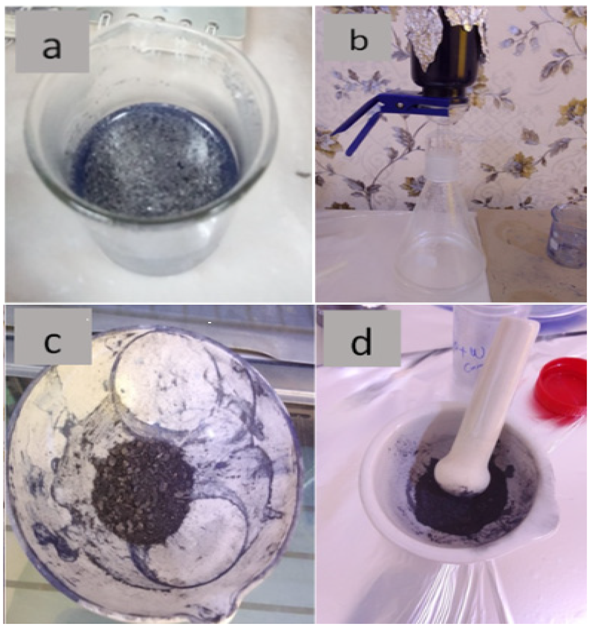 Membranes 13 00269 g001