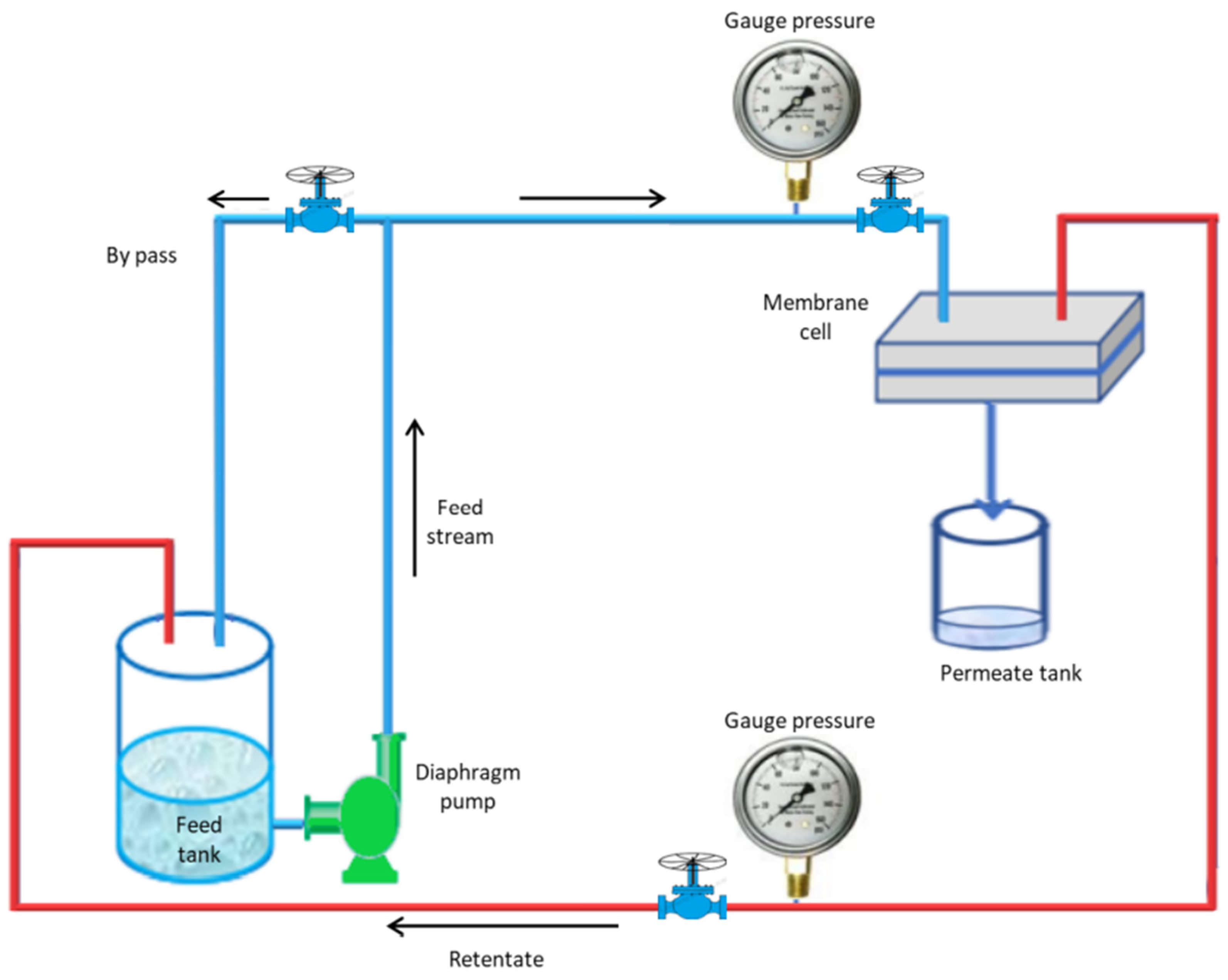 Membranes 13 00269 g003