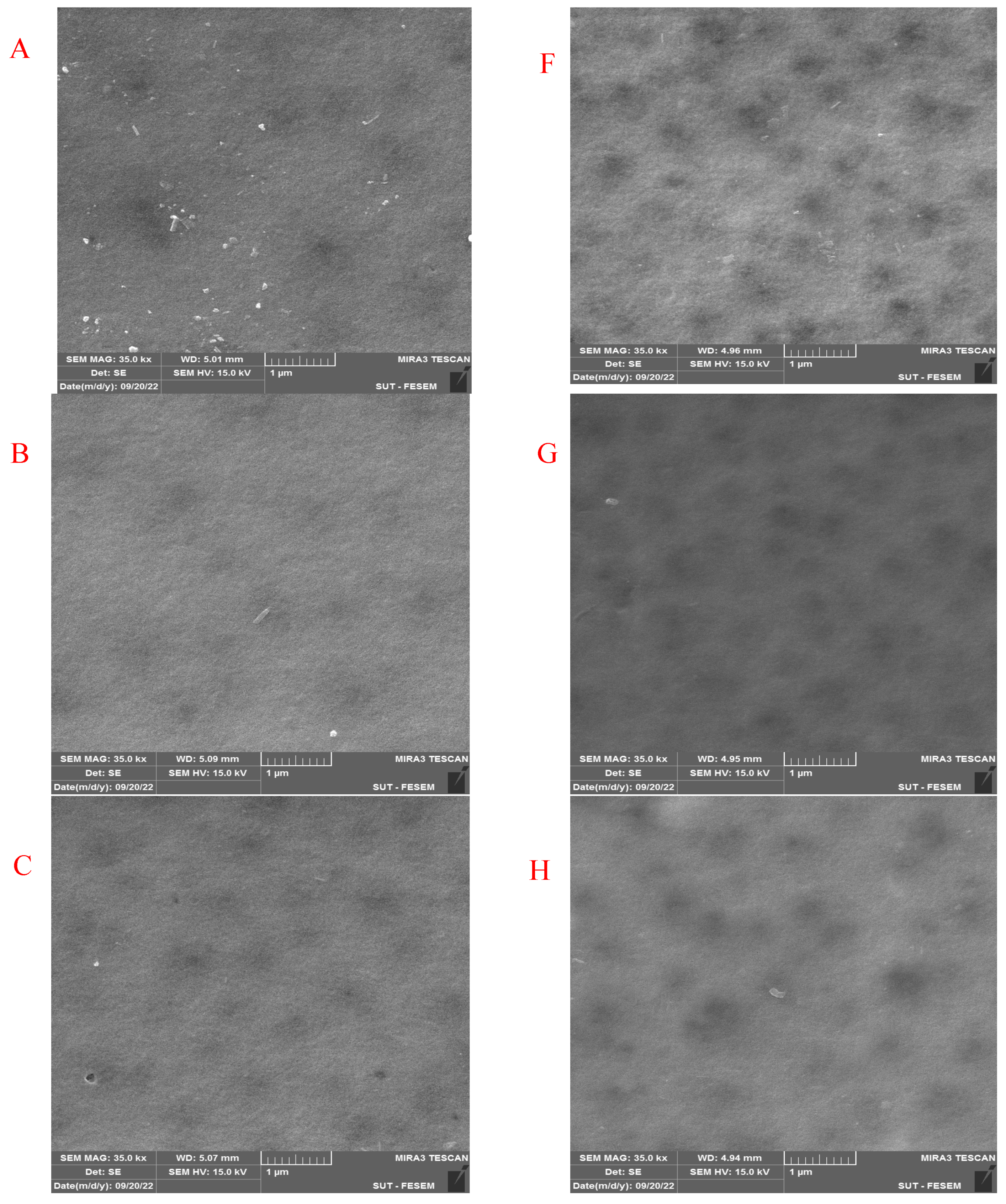 Membranes 13 00269 g007a