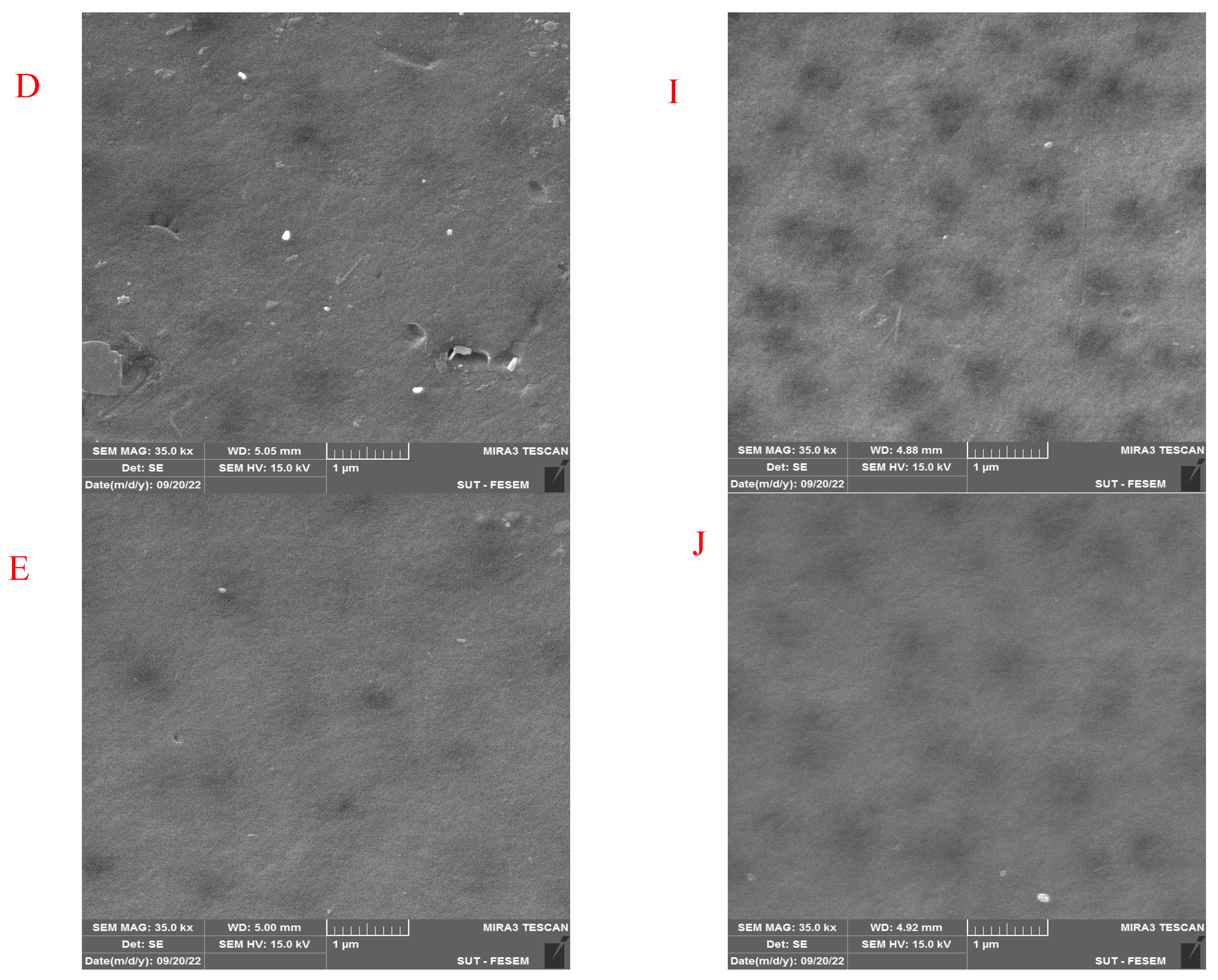 Membranes 13 00269 g007b