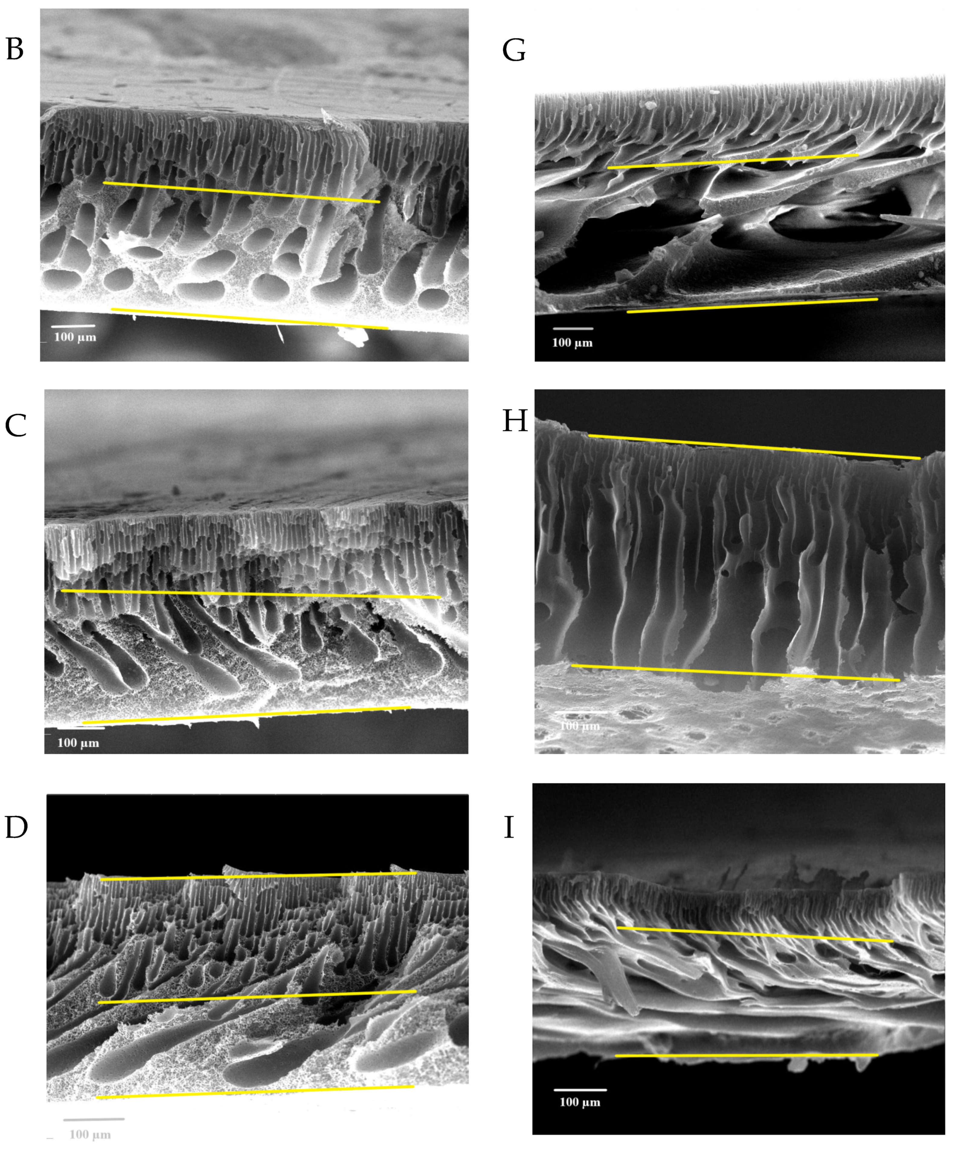 Membranes 13 00269 g008b