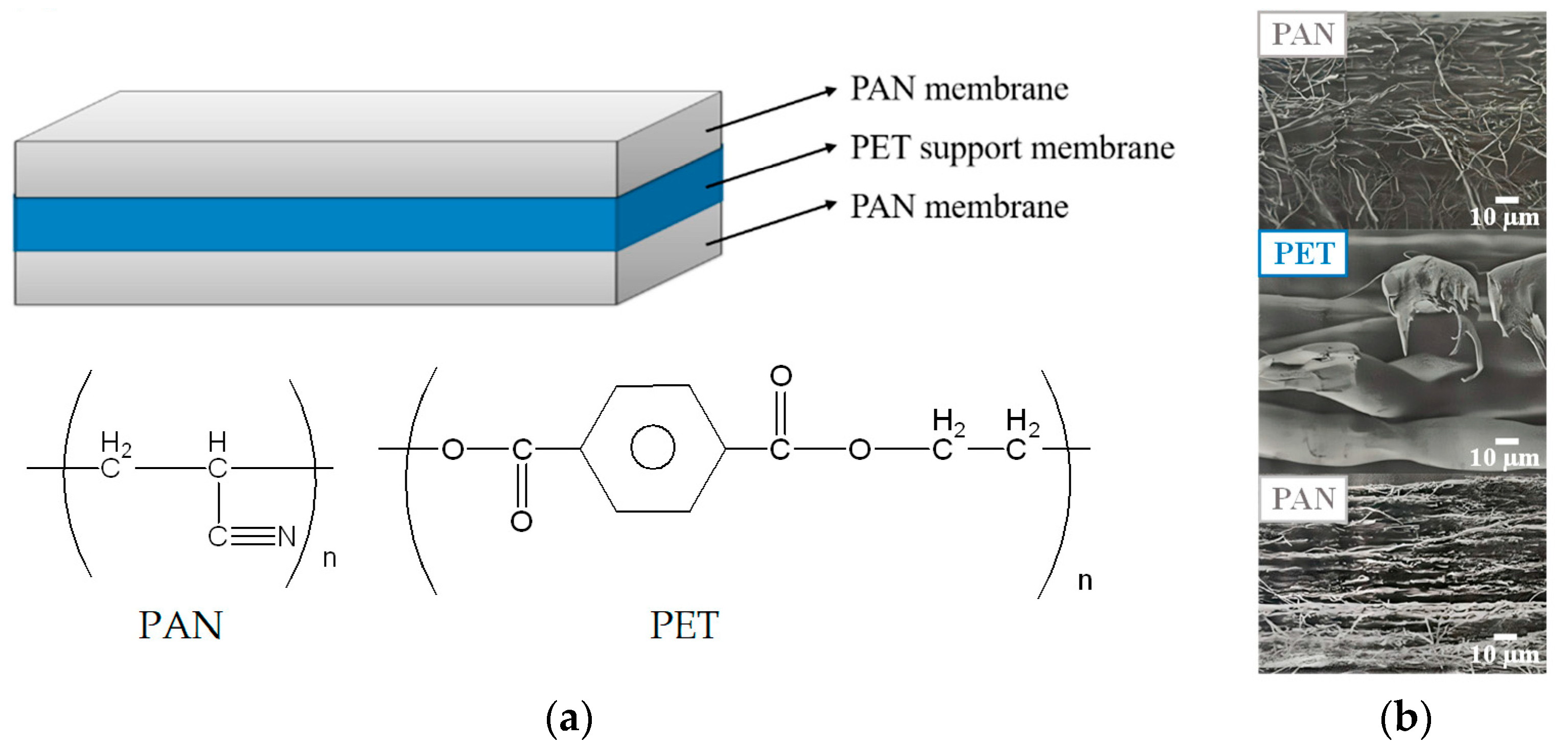 Membranes 13 00271 g001