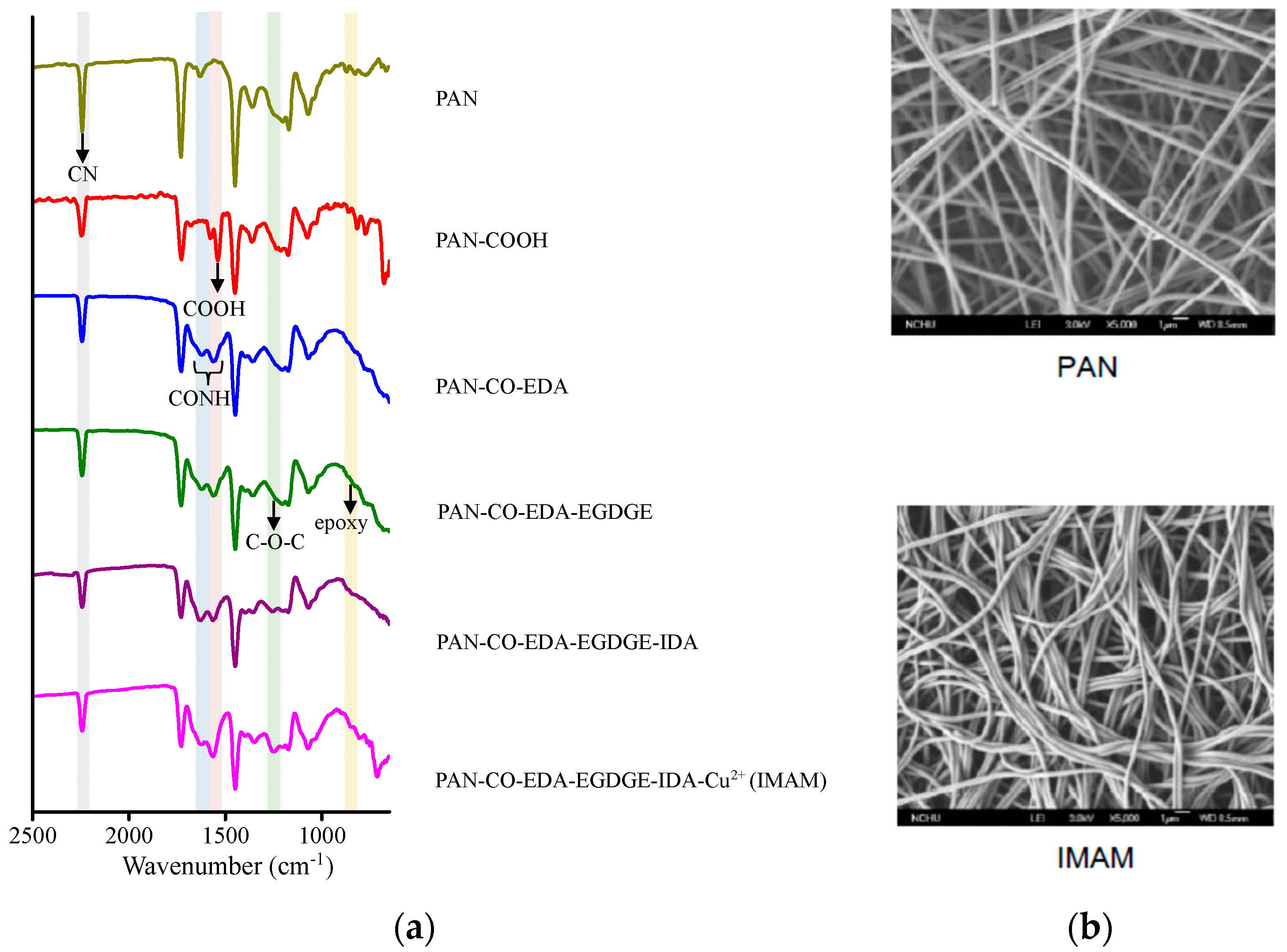 Membranes 13 00271 g003