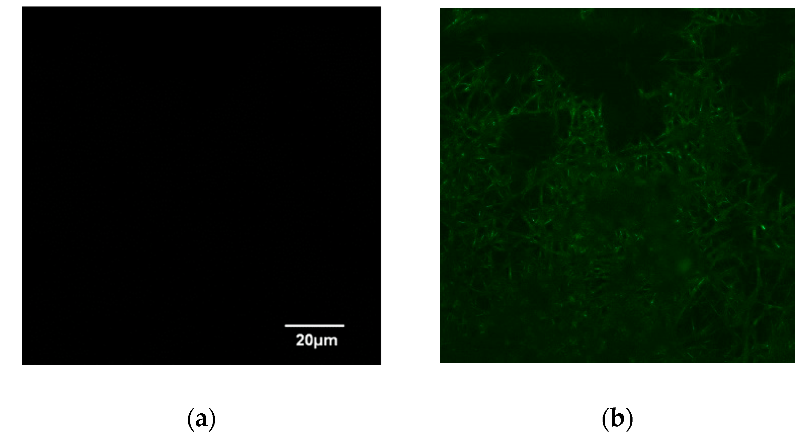 Membranes 13 00271 g005