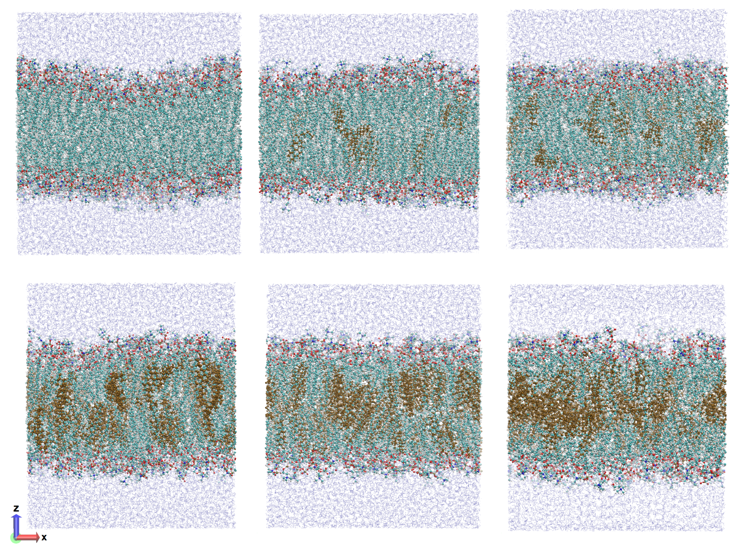 Membranes 13 00275 g001