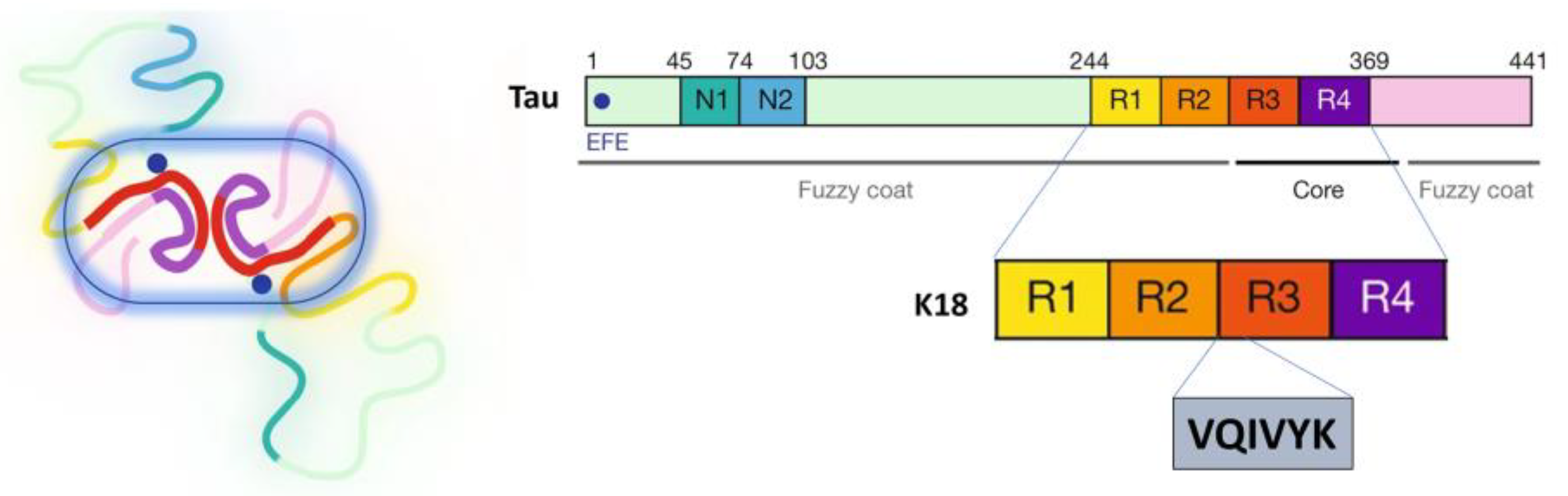 Membranes 13 00277 g001