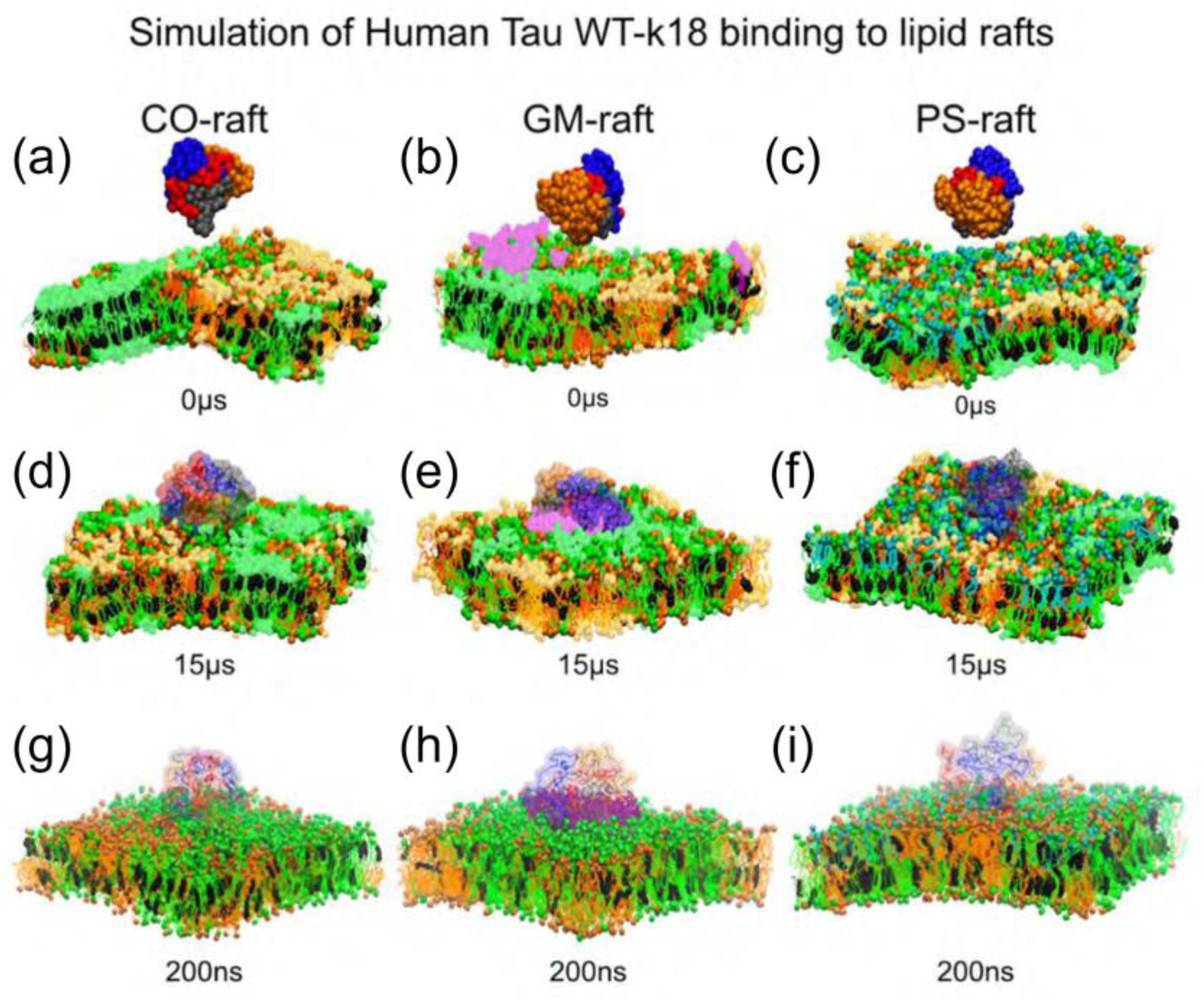 Membranes 13 00277 g009