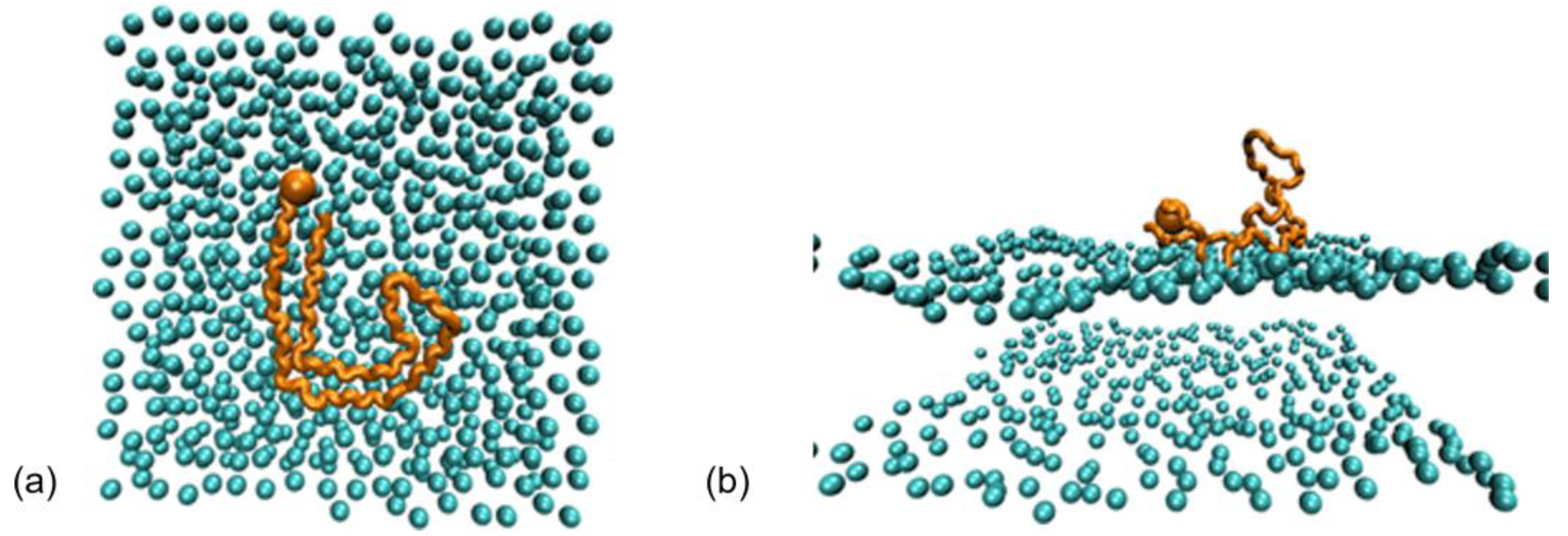 Membranes 13 00277 g010