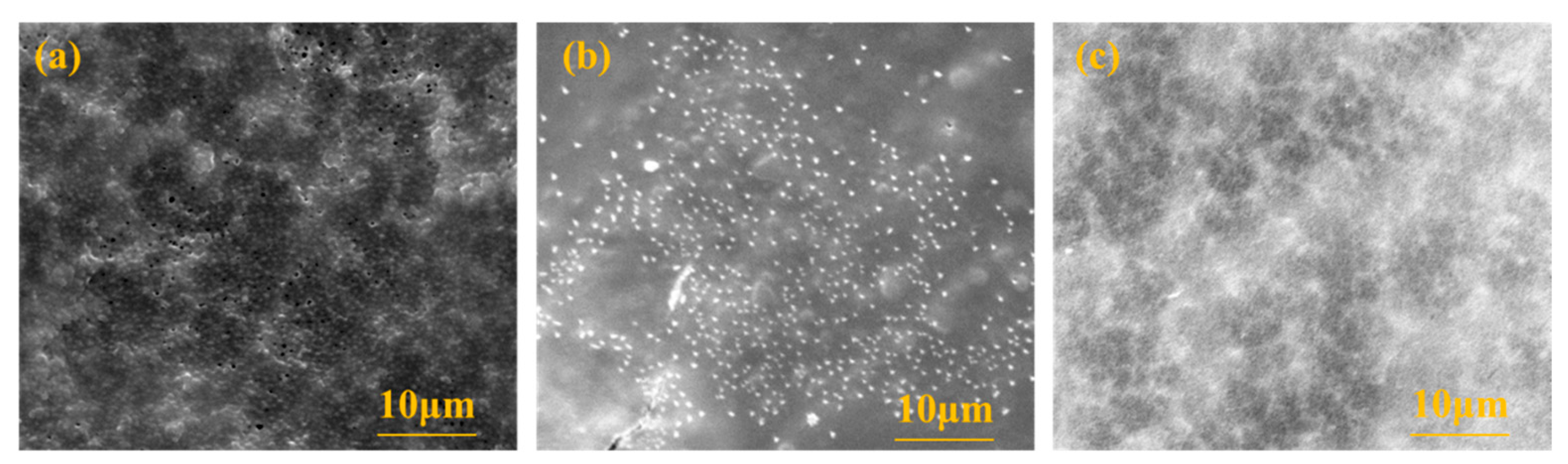 Membranes 13 00280 g005