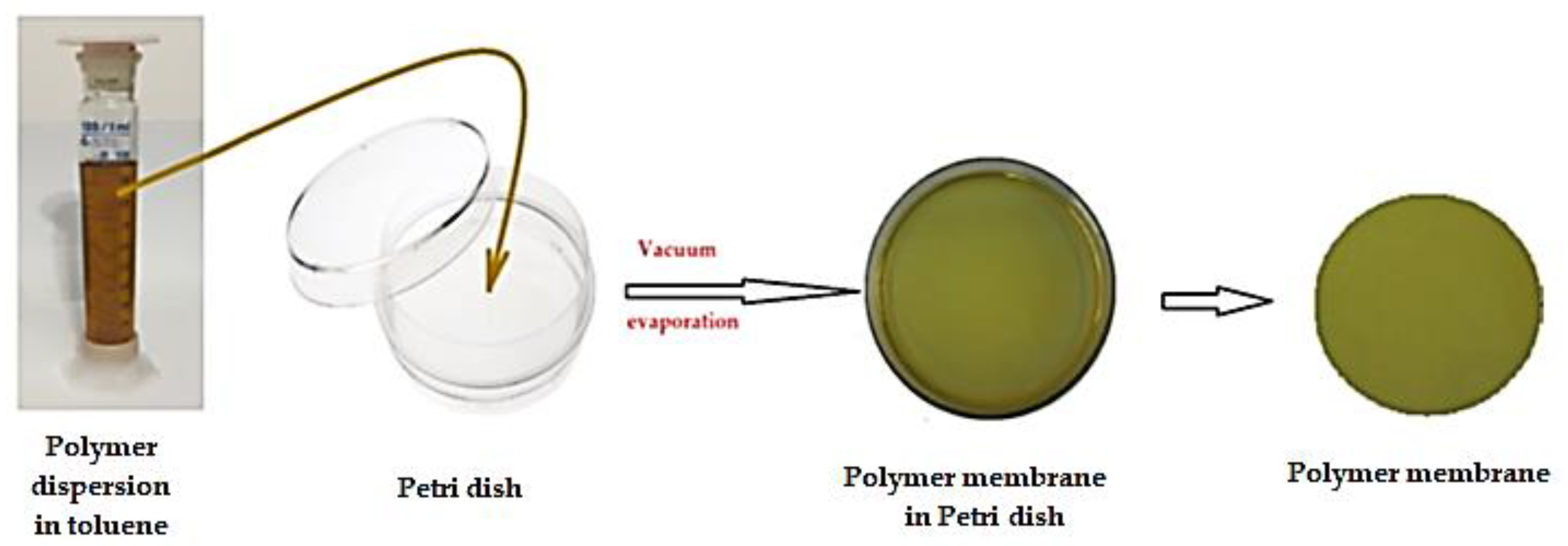 Membranes 13 00282 g002