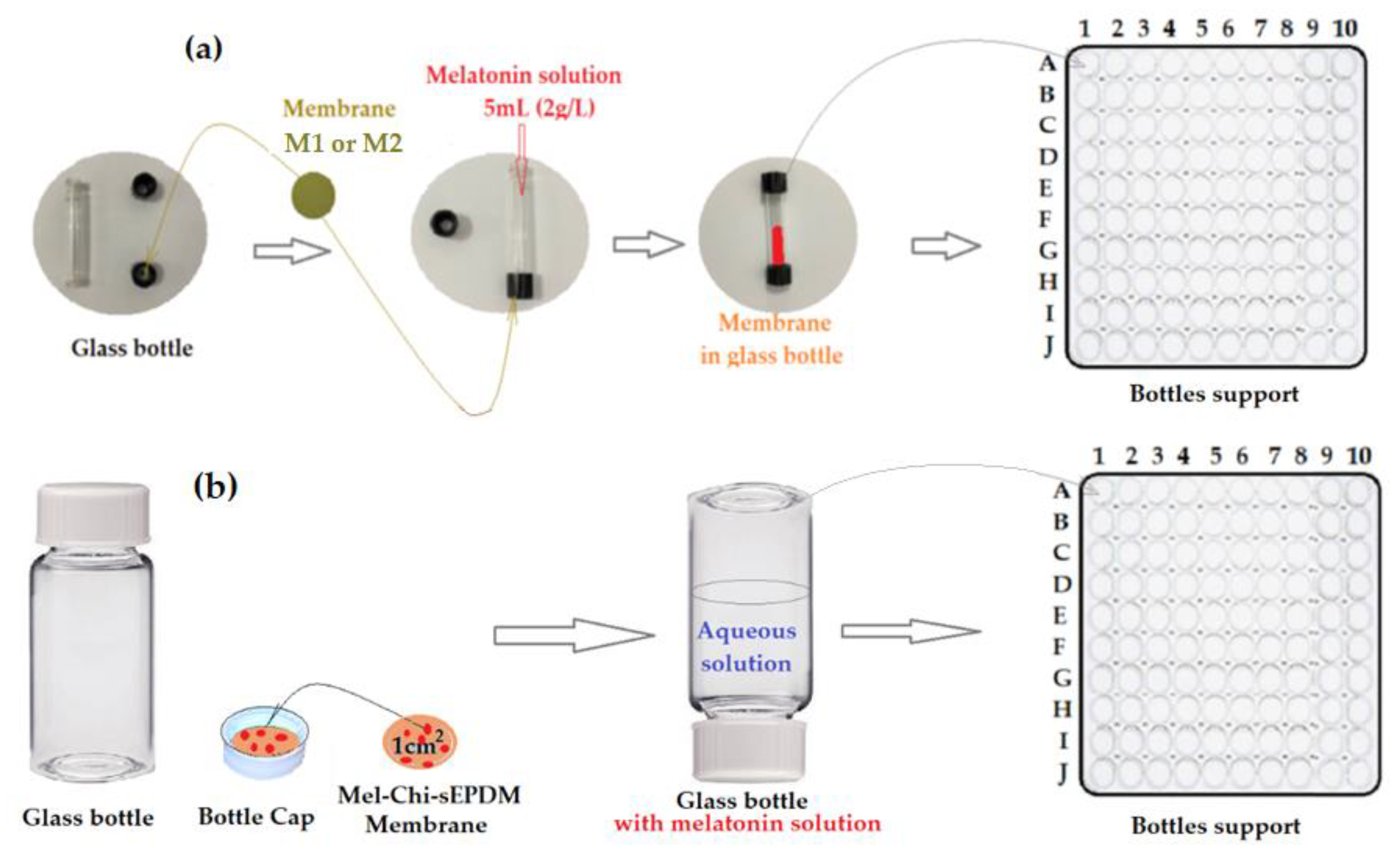 Membranes 13 00282 g004
