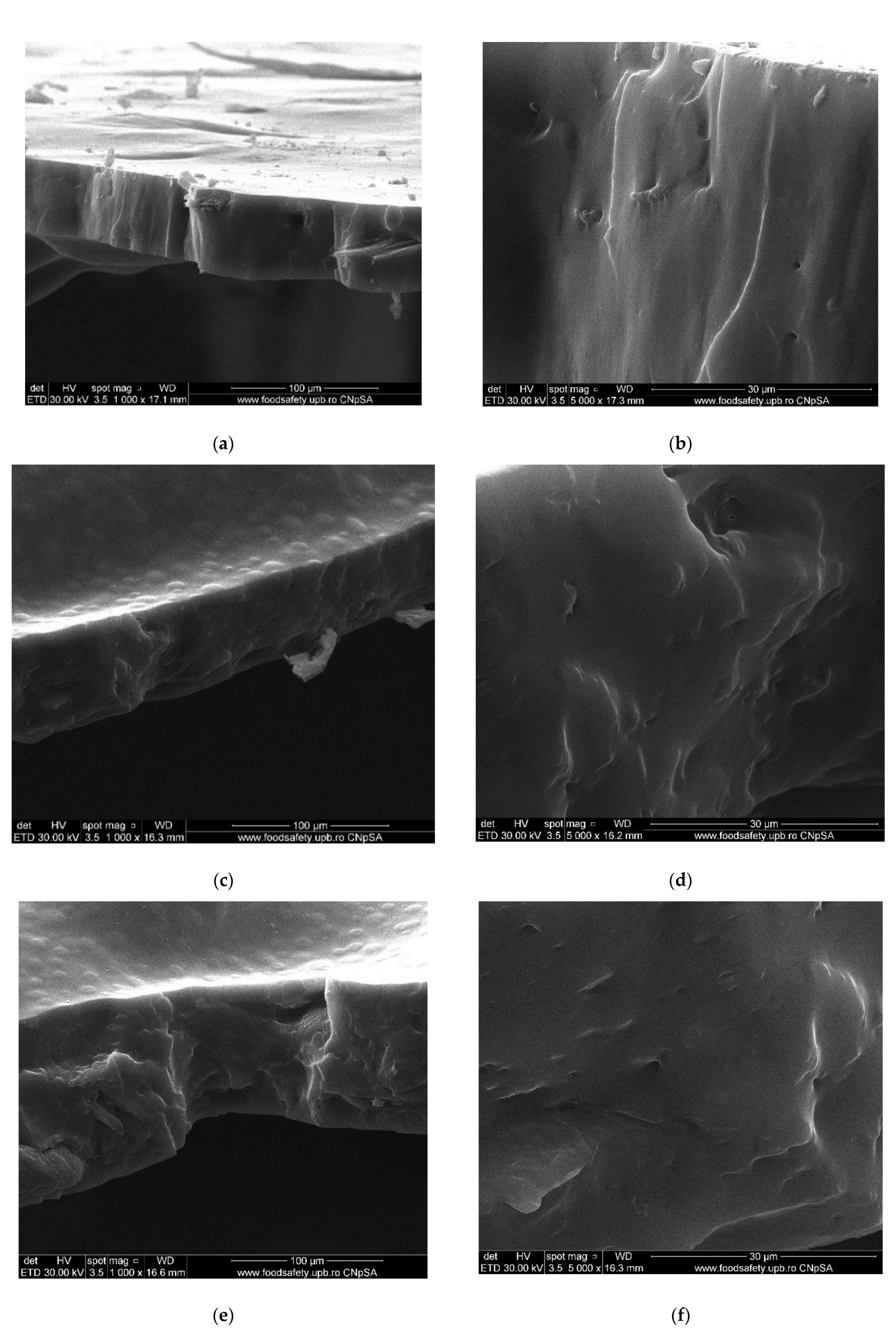 Membranes 13 00282 g005