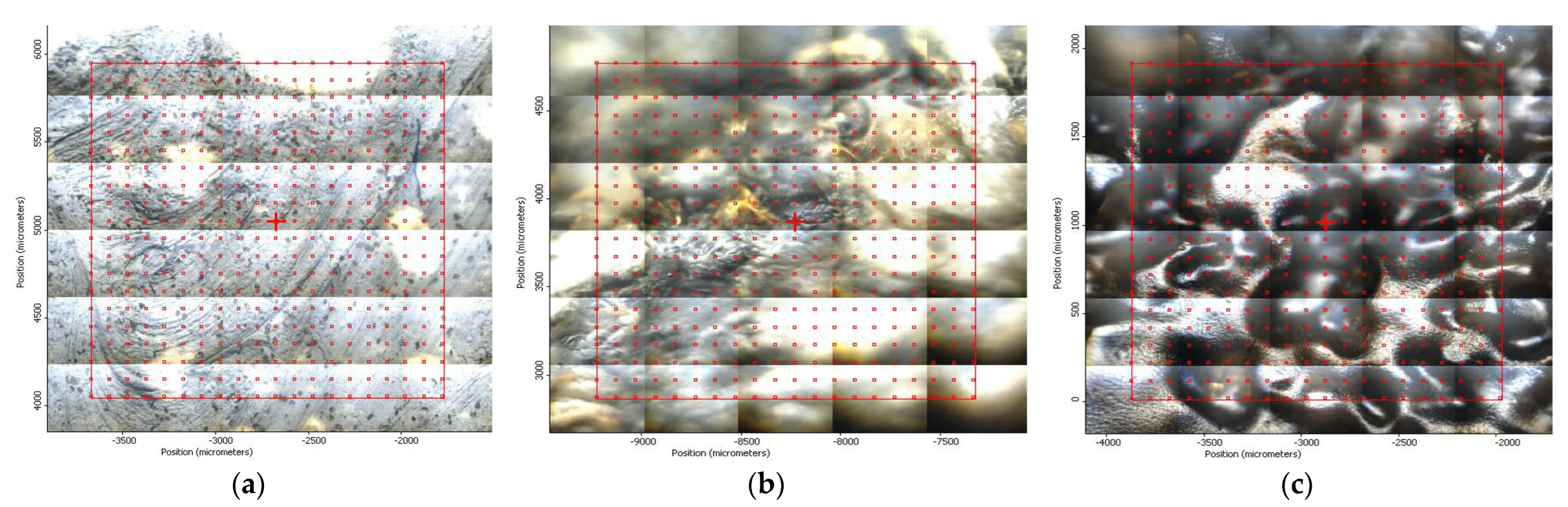 Membranes 13 00282 g008