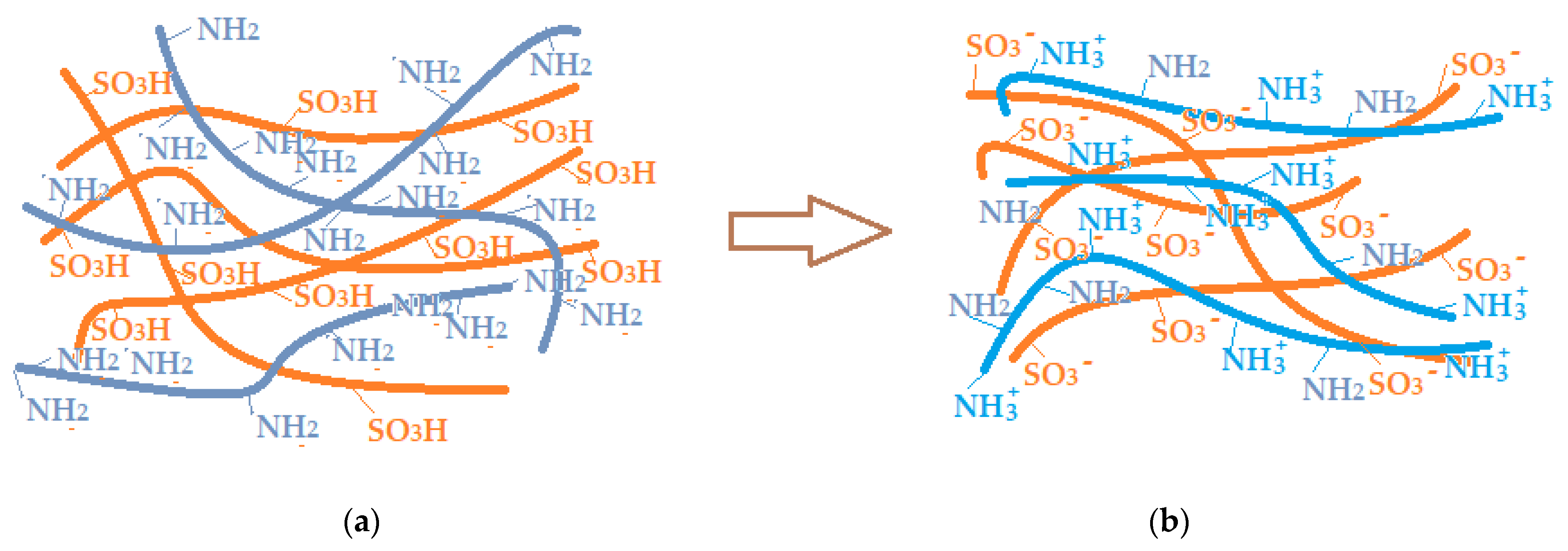 Membranes 13 00282 g016